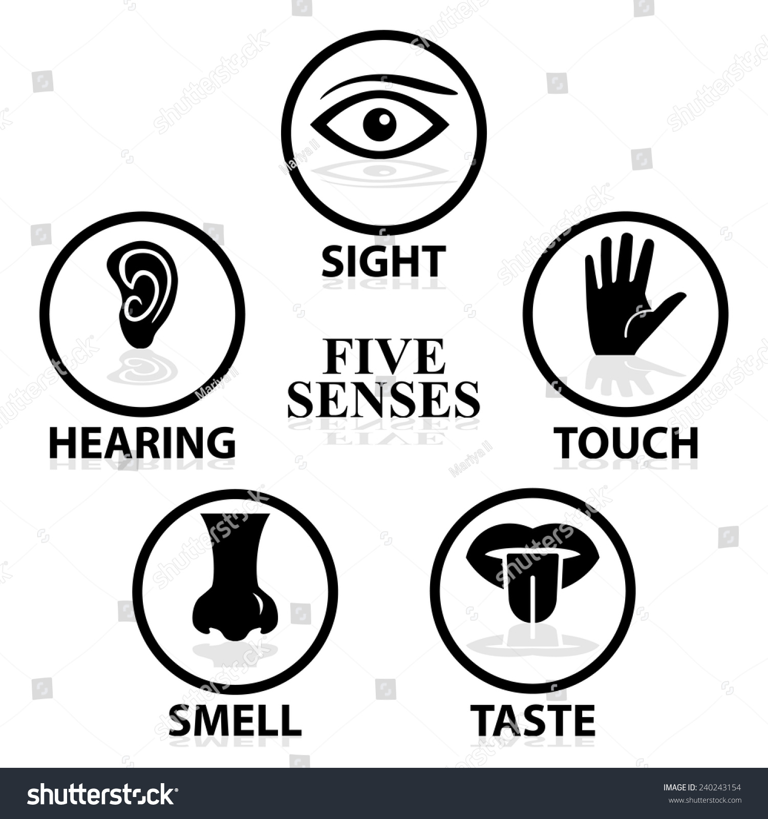 Five Senses Related Vector Icon Set Stock Vector (Royalty Free ...