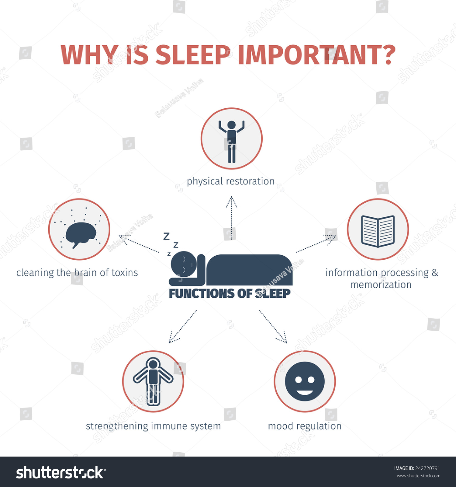 sleep-infographic-importance-sleep-functions-flat-242720791