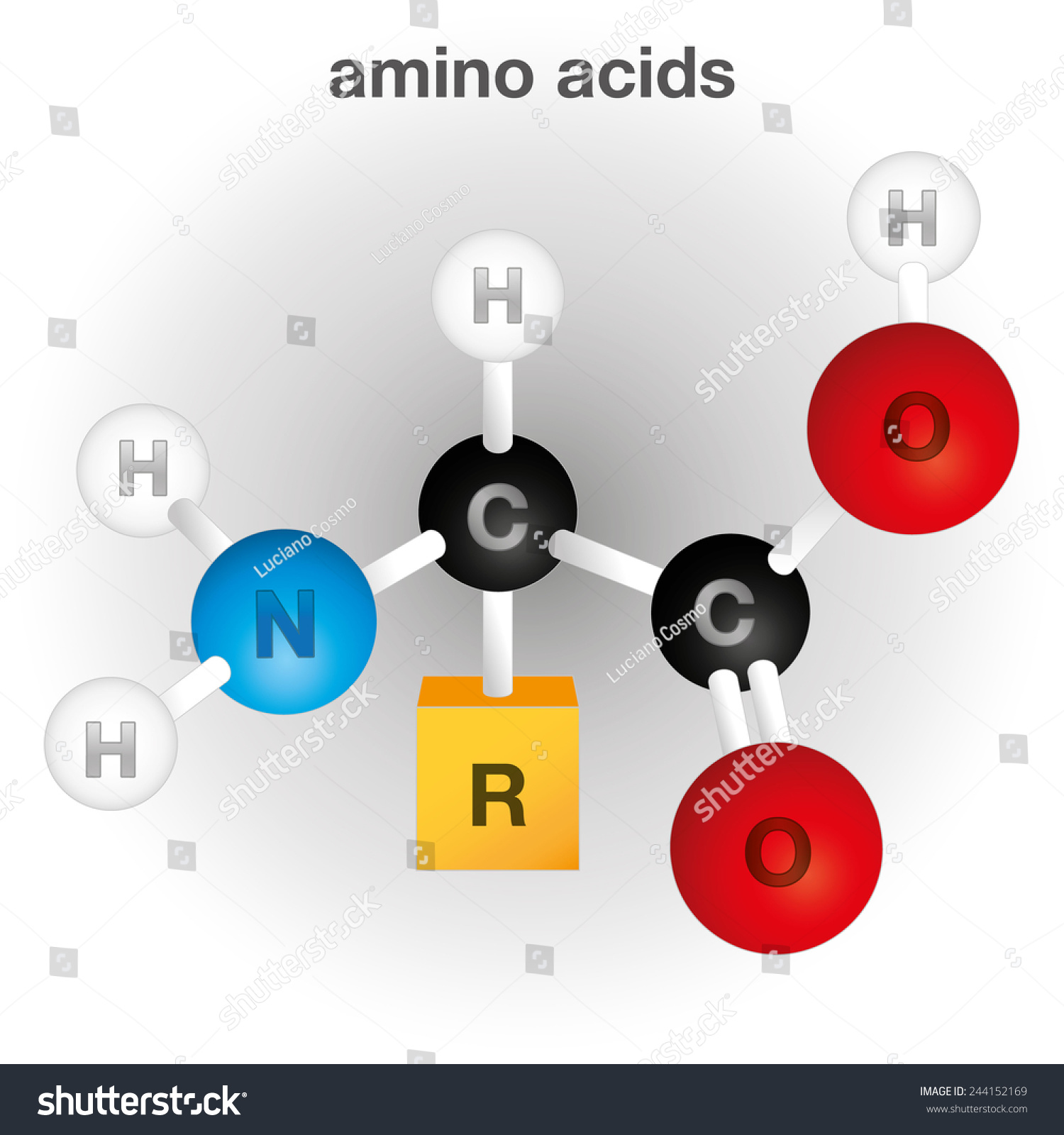 73 Amino Acids Table Stock Vectors Images And Vector Art Shutterstock 4038