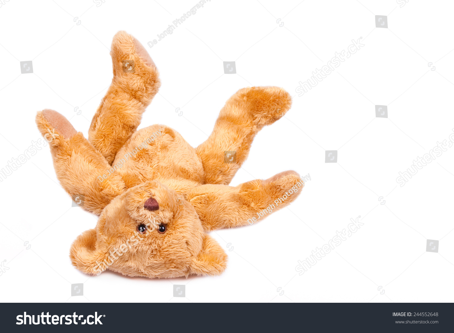 Teddy Bear Upside Down Falling Over Stock Photo 244552648 | Shutterstock