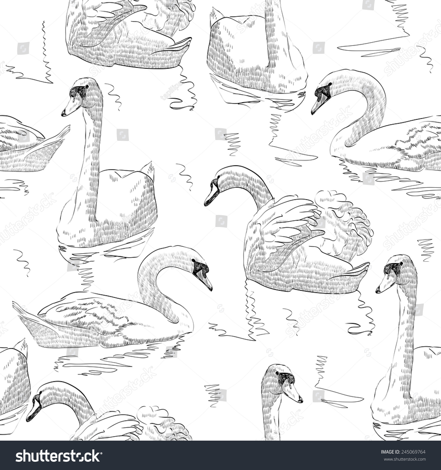 Наброски и зарисовки лебедя