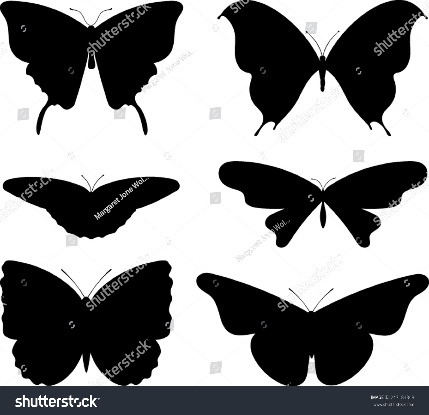 Butterfly Silhouettes Vector Image Stock Vector (Royalty Free ...