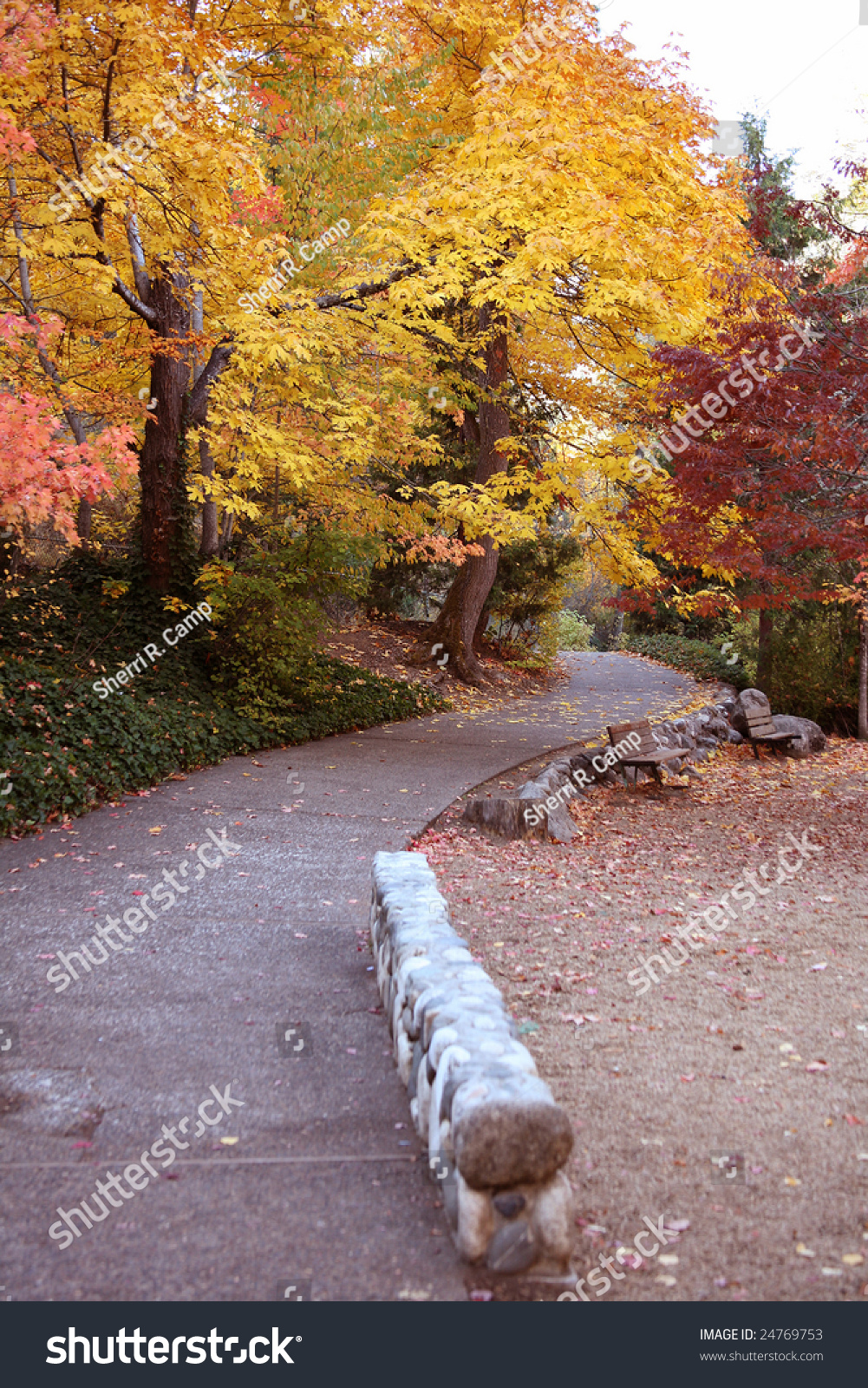 are dogs allowed in lithia park ashland oregon