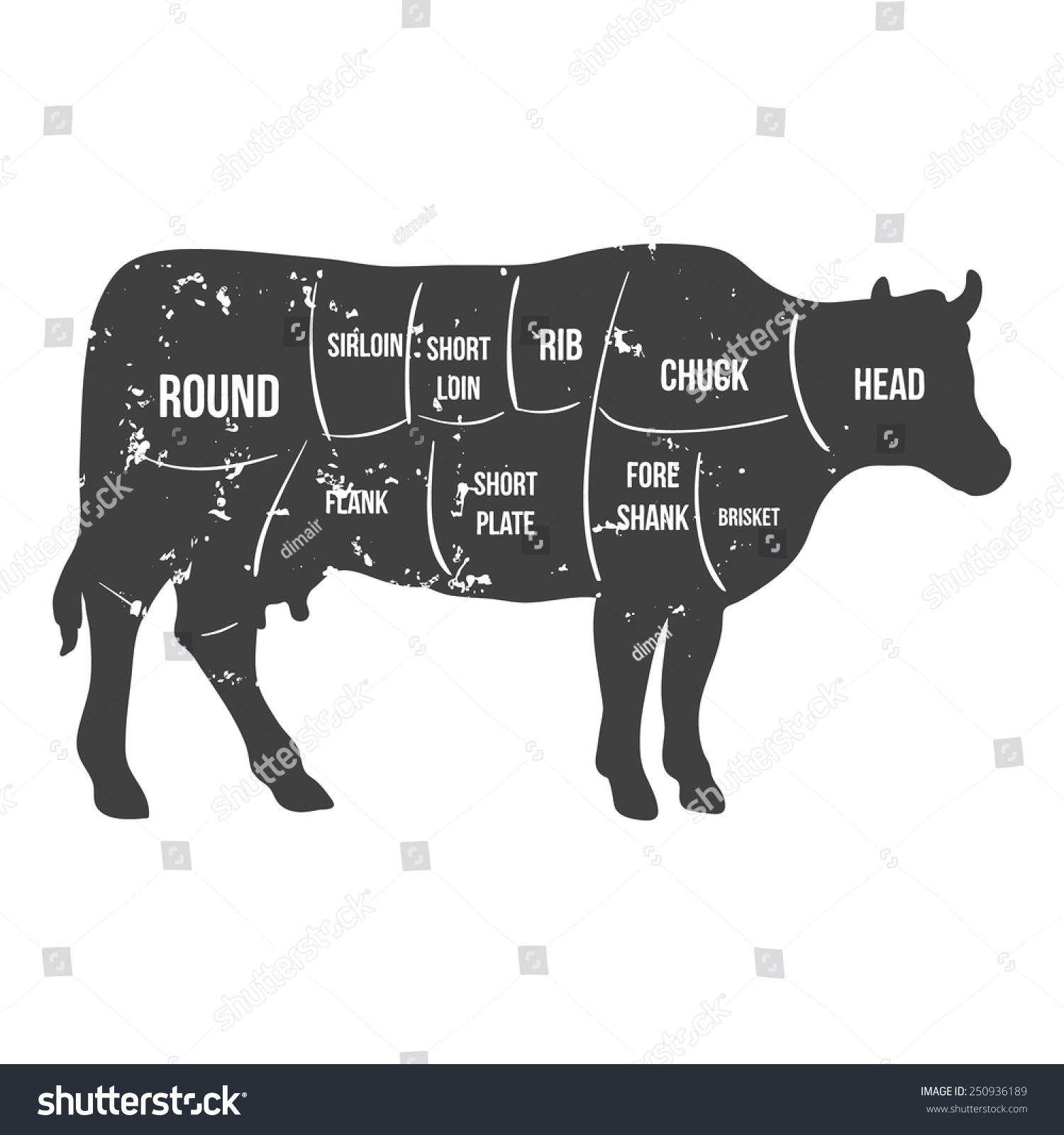 Vektor Stok Vintage Butcher Cuts Beef Diagram Vector Tanpa Royalti 250936189 Shutterstock
