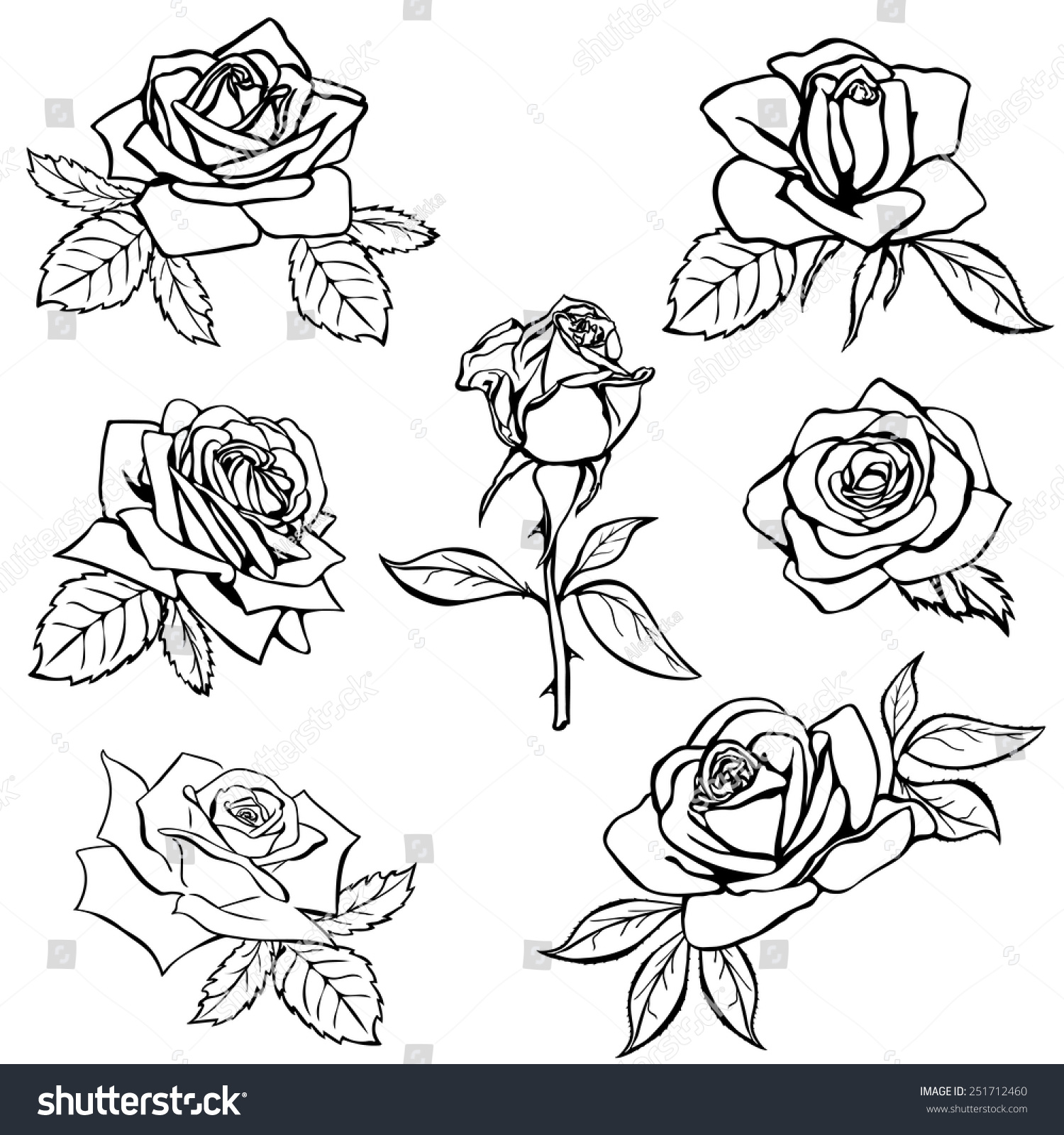 Set Rose Sketch Black Outline On Stock Vector (Royalty Free) 251712460 ...