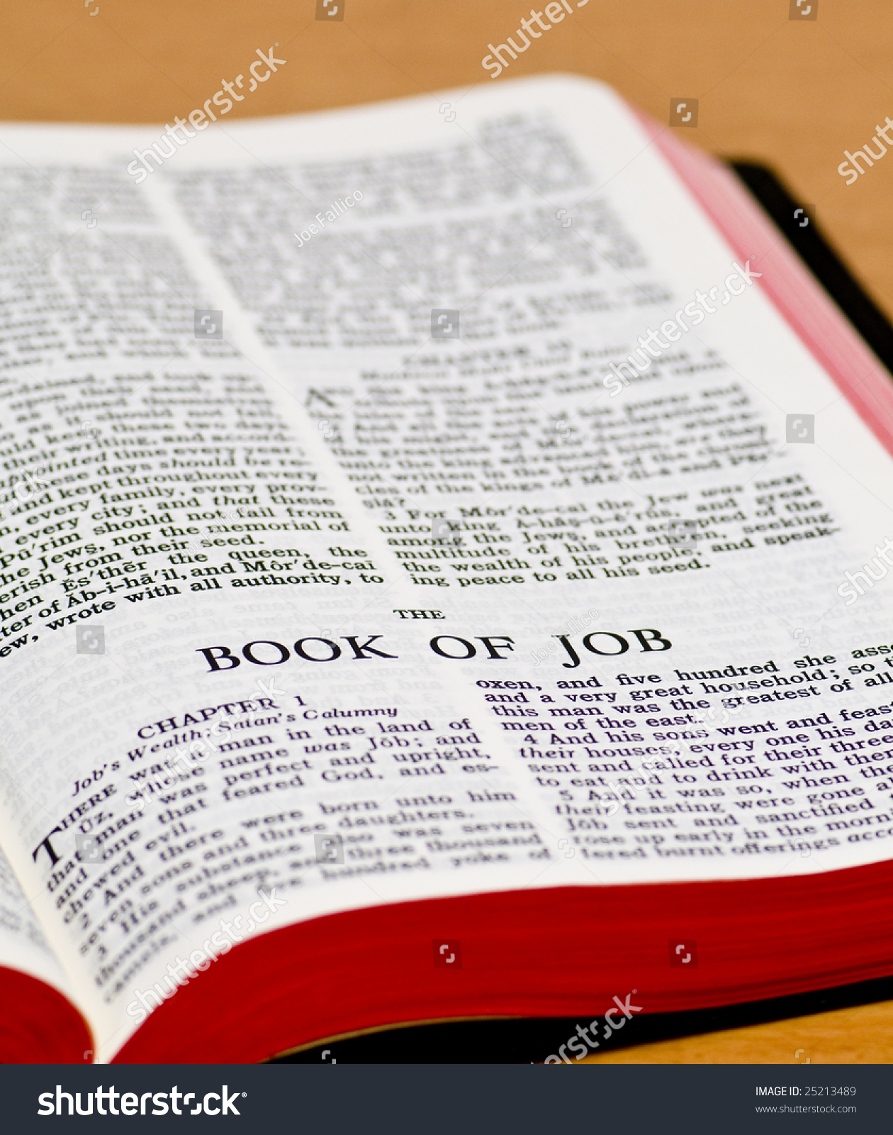 close-job-bible-page-stock-photo-25213489-shutterstock