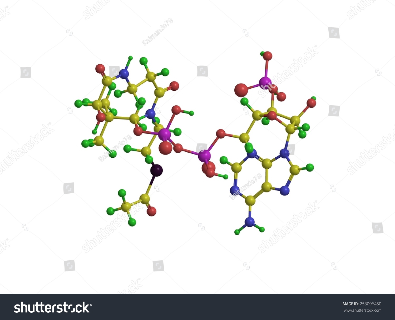 Molecular Structure Acetyl Coenzyme Acetyl Coa Stock Illustration ...