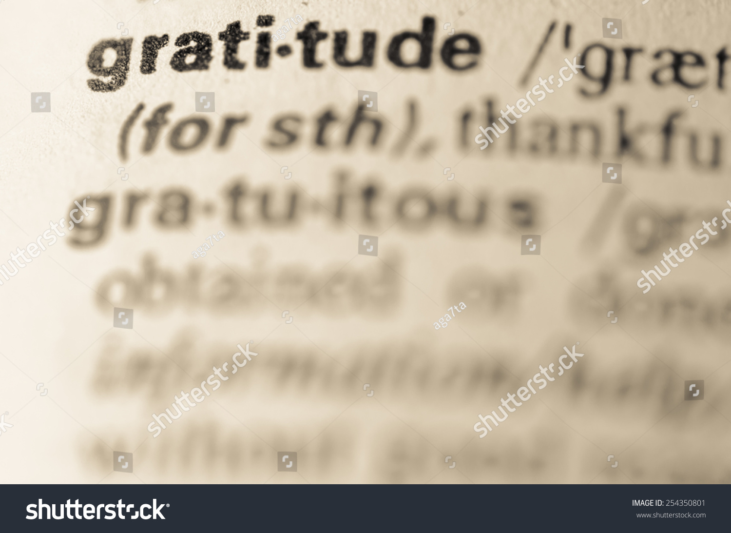 definition-word-gratitude-dictionary-stock-photo-254350801-shutterstock