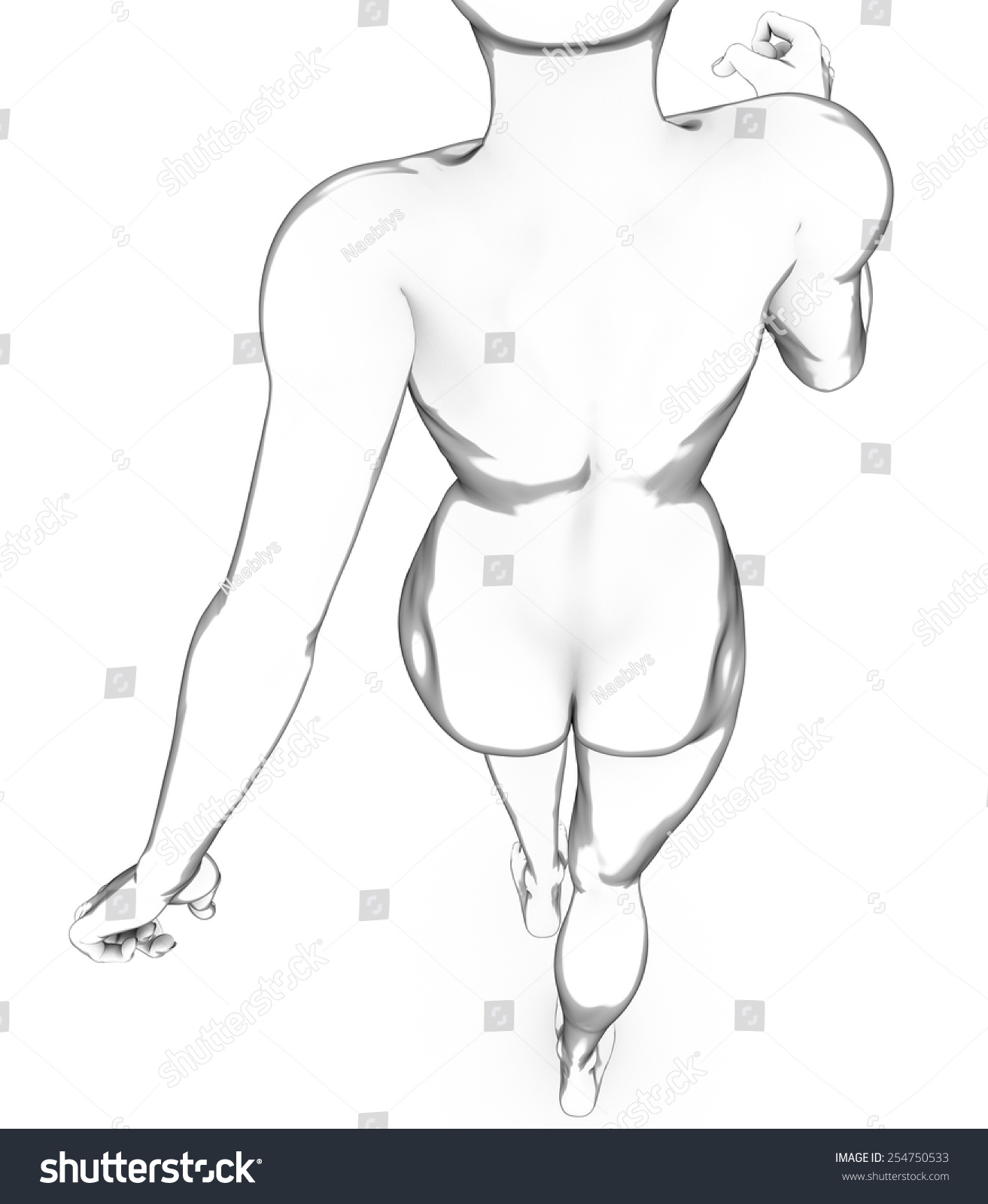 body anatomy drawing female