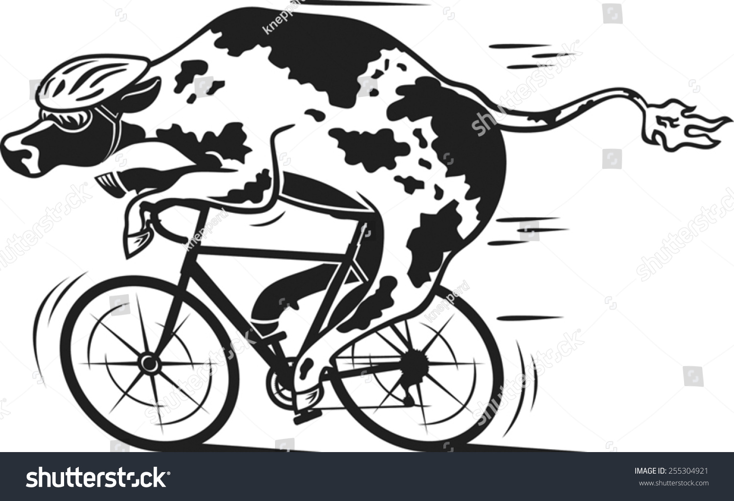 Корова едет на велосипеде
