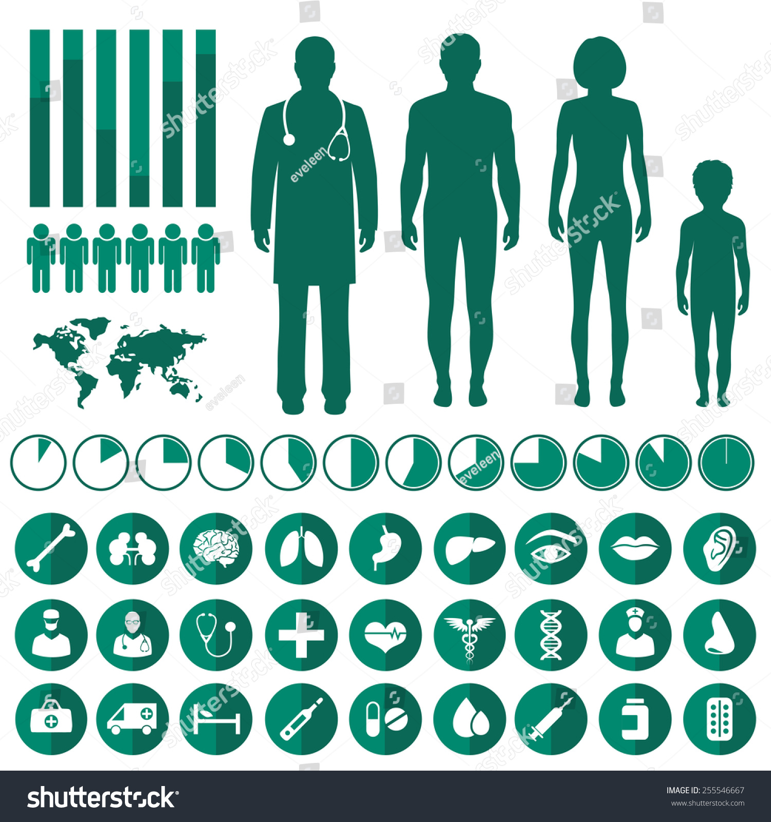 Vector Medical Infographic Human Body Anatomy Stock Vector (Royalty ...