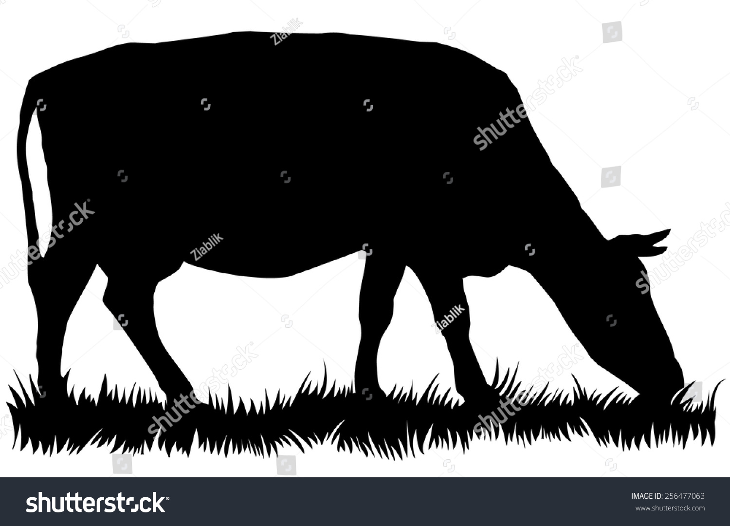 Silhouette Cow Eating Grass Vector Illustration Stock Vector (Royalty ...