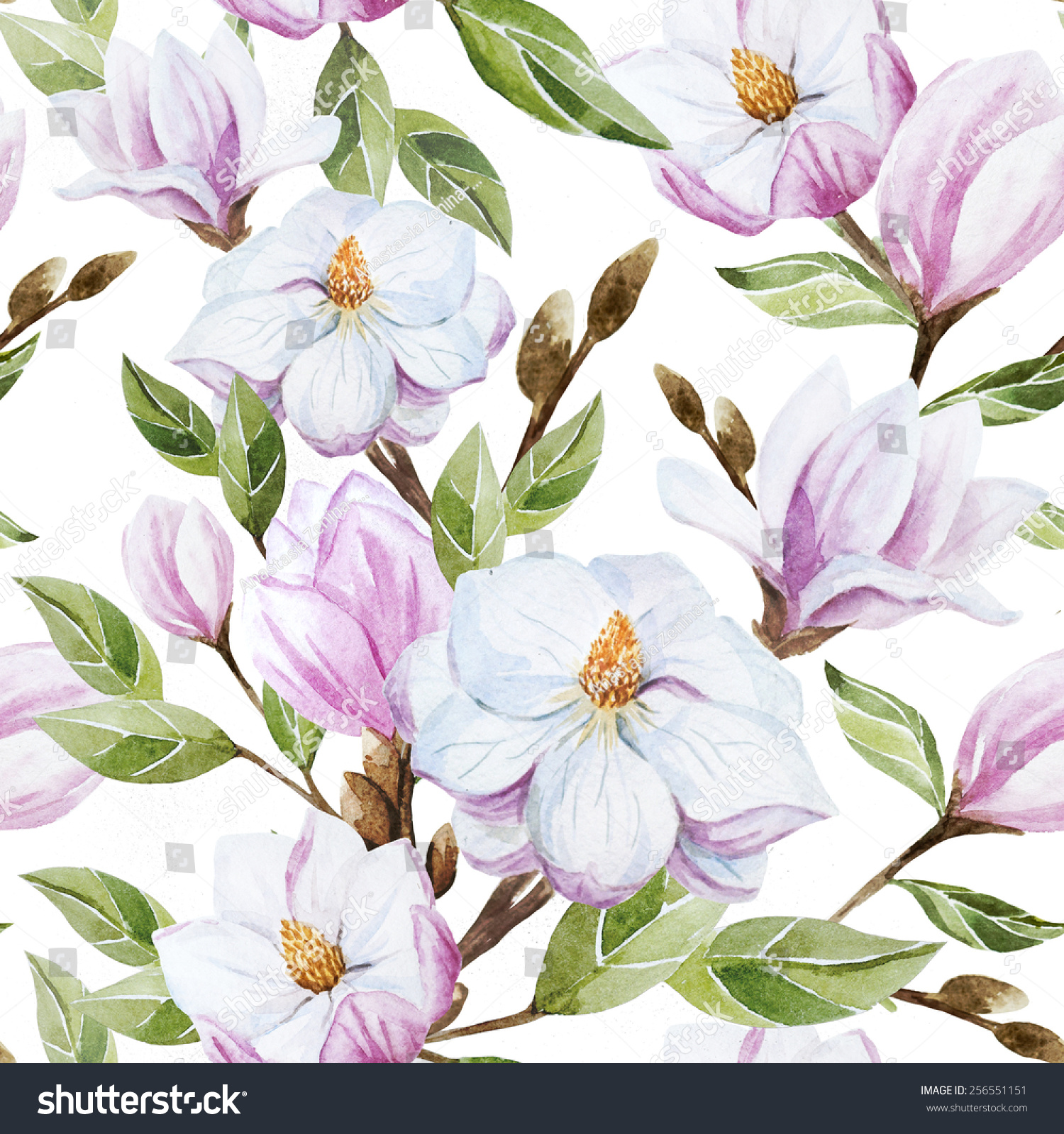 Watercolor Magnolia Pattern Wallpaper Stock Illustration 256551151 ...