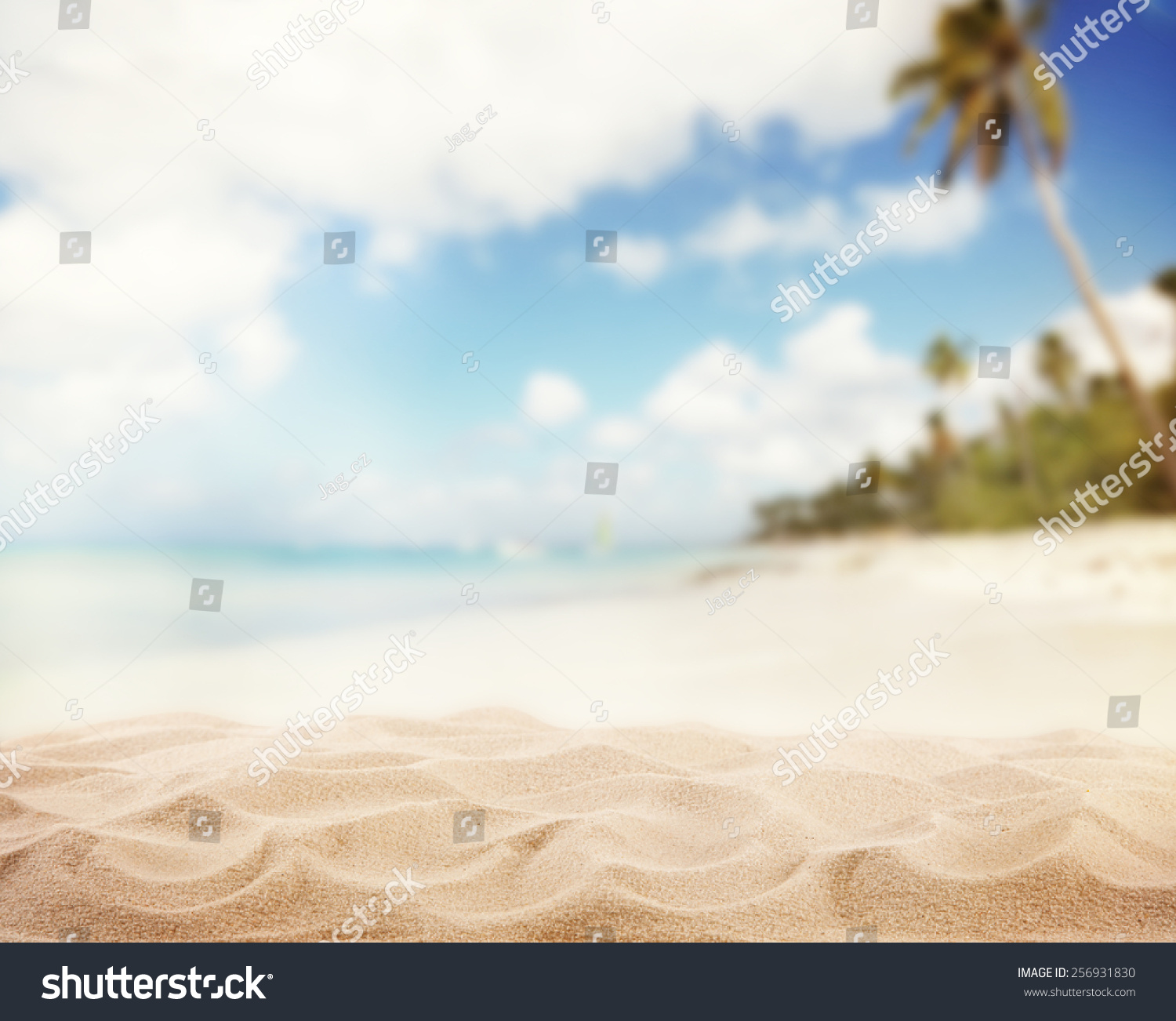 Sandy Beach Blur Sea On Background Stock Photo 256931830 | Shutterstock