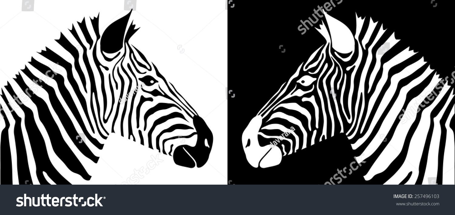 Head Zebra Profile Two Zebras Looking Stock Vector (Royalty Free ...