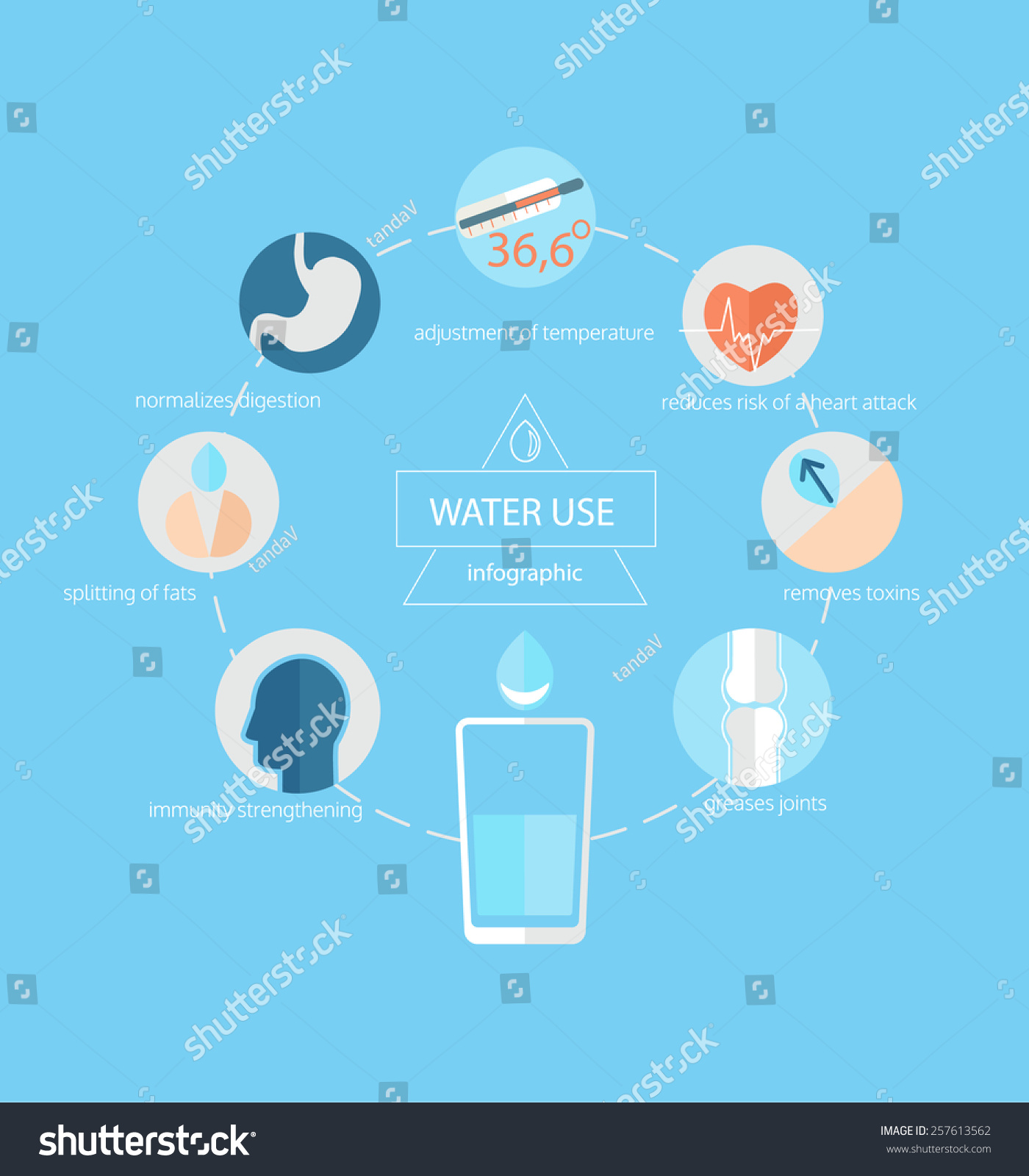 Infographic Use Water Human Health Vector Stock Vector (Royalty Free ...