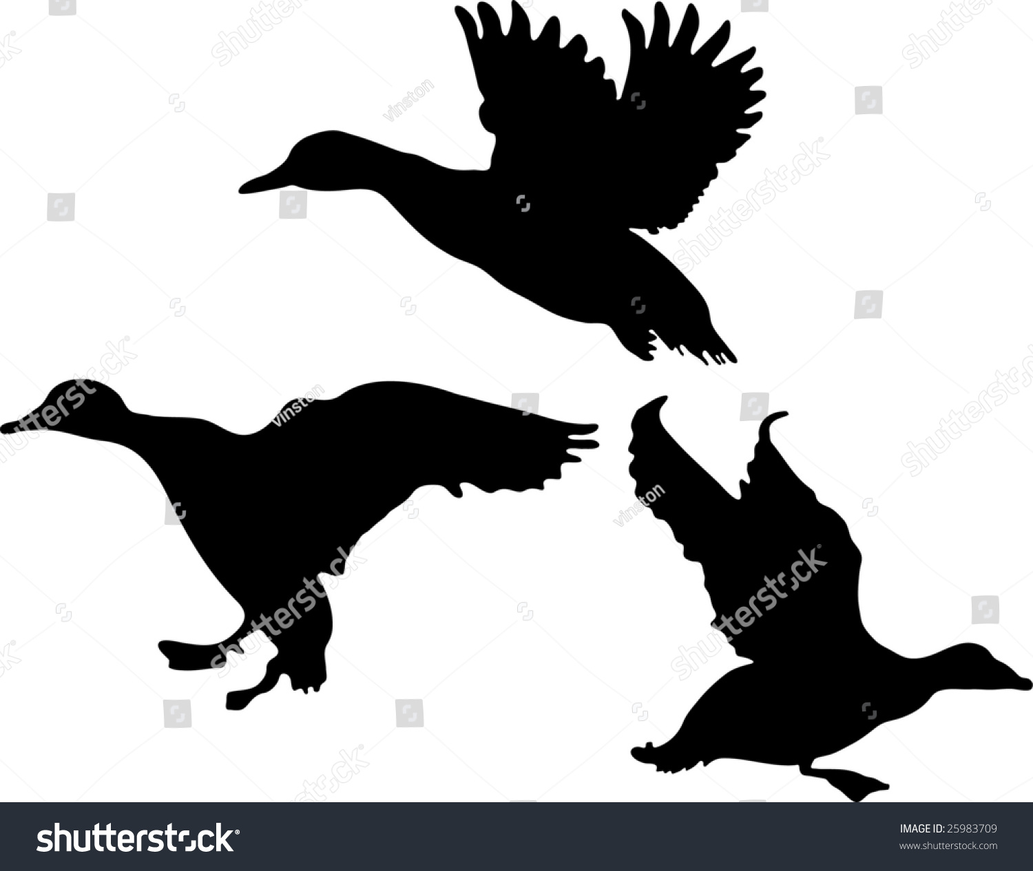 Duck Silhouette Collection Stock Illustration 25983709 