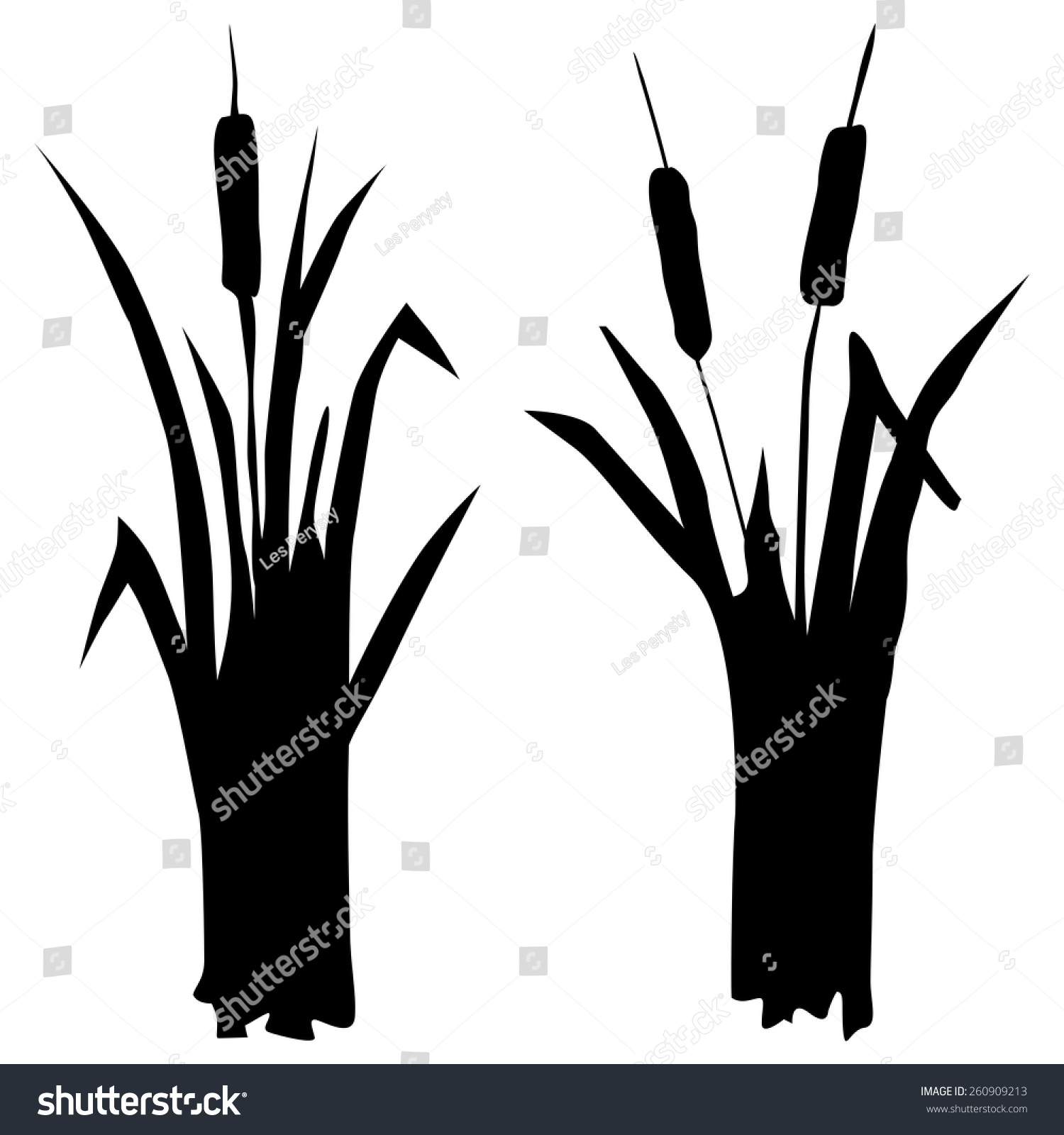 Silhouette Reed Stock Vector (Royalty Free) 260909213 | Shutterstock
