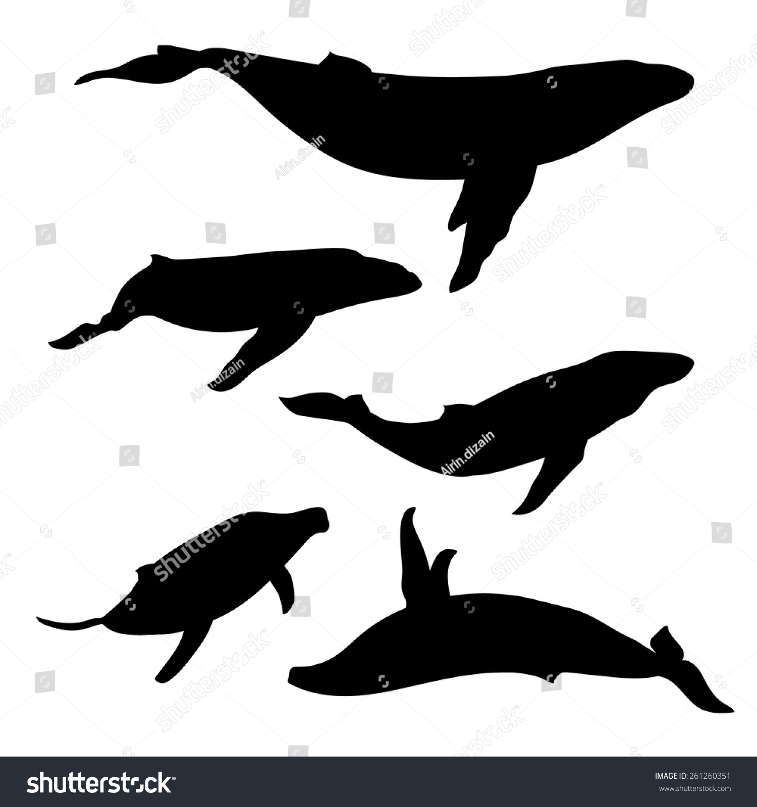 Whale Set Silhouettes Vector Stock Vector (Royalty Free) 261260351 ...