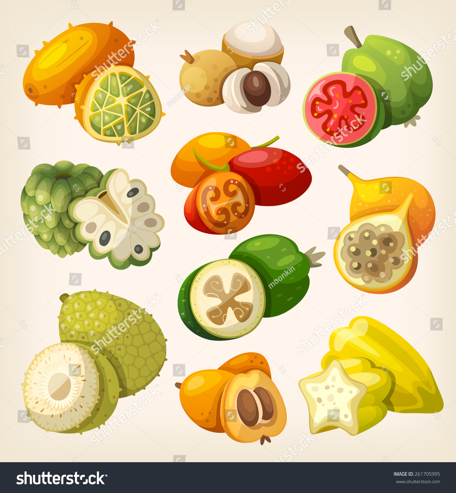 Exotic Tropical Fruit Icons Labels Packages Stock Vector (Royalty Free ...