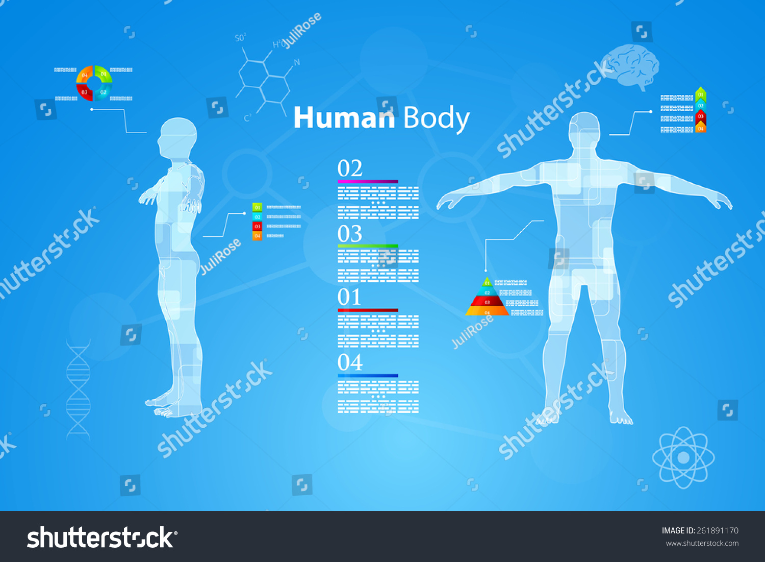 Vector Illustration Medicine Infographics Schematic Description Stock ...