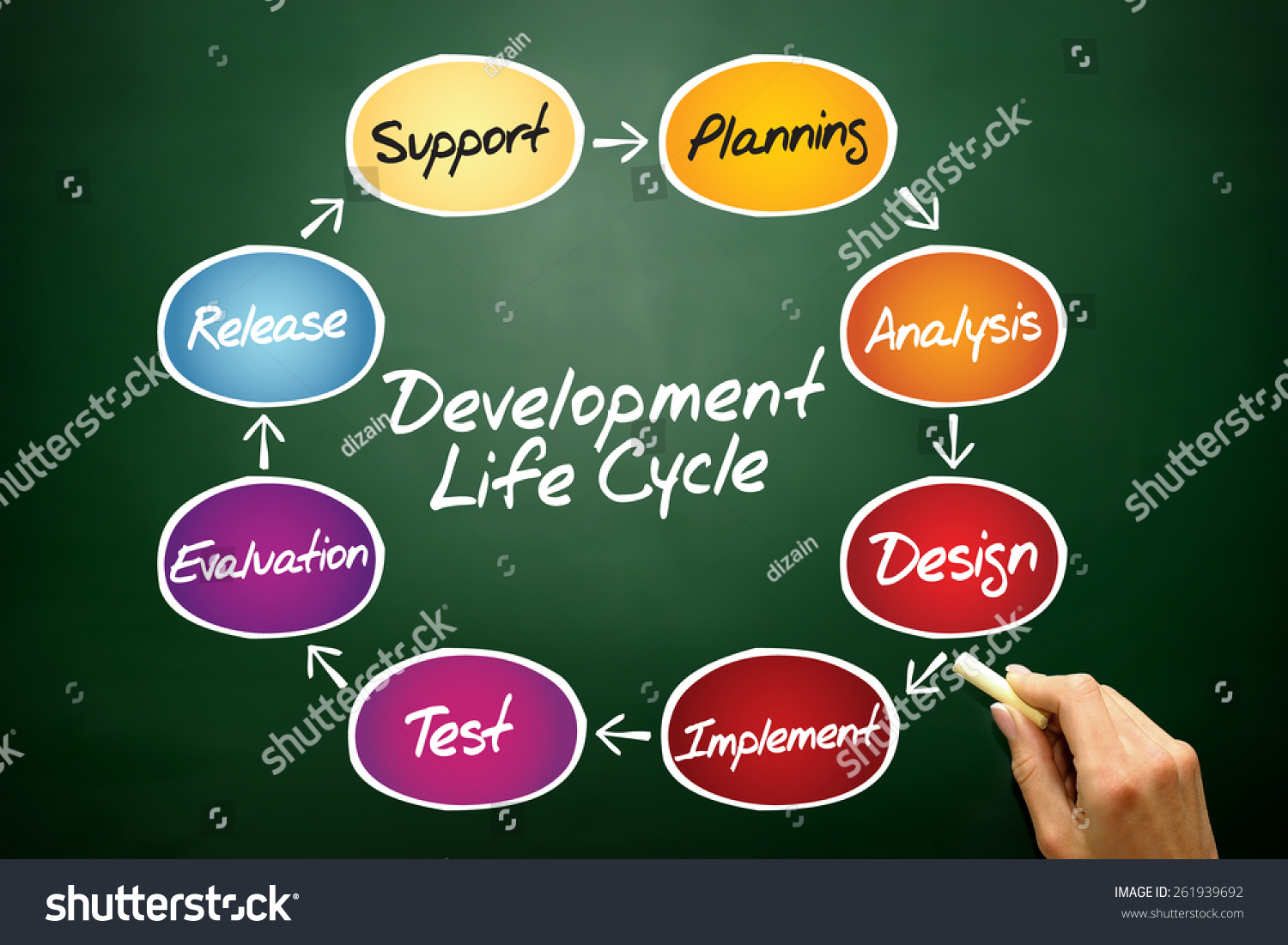 Circular Flow Chart Life Cycle Development库存照片261939692 Shutterstock