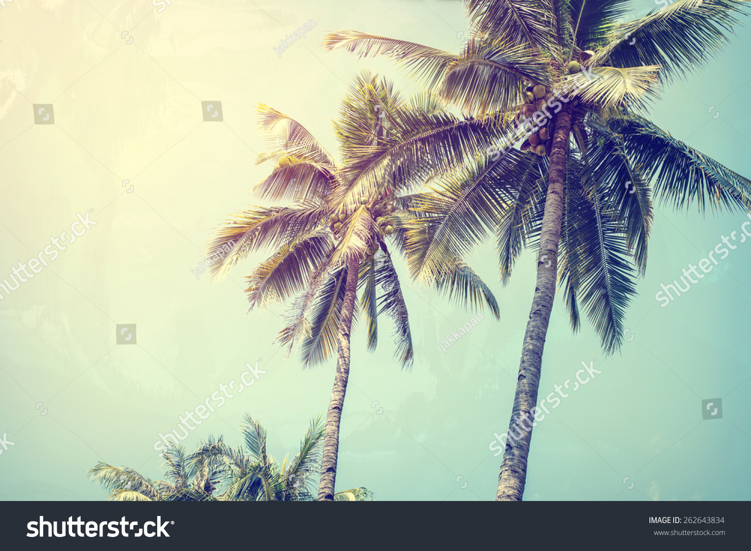 Vintage Nature Background Coconut Palm Tree Stock Photo 262643834 ...