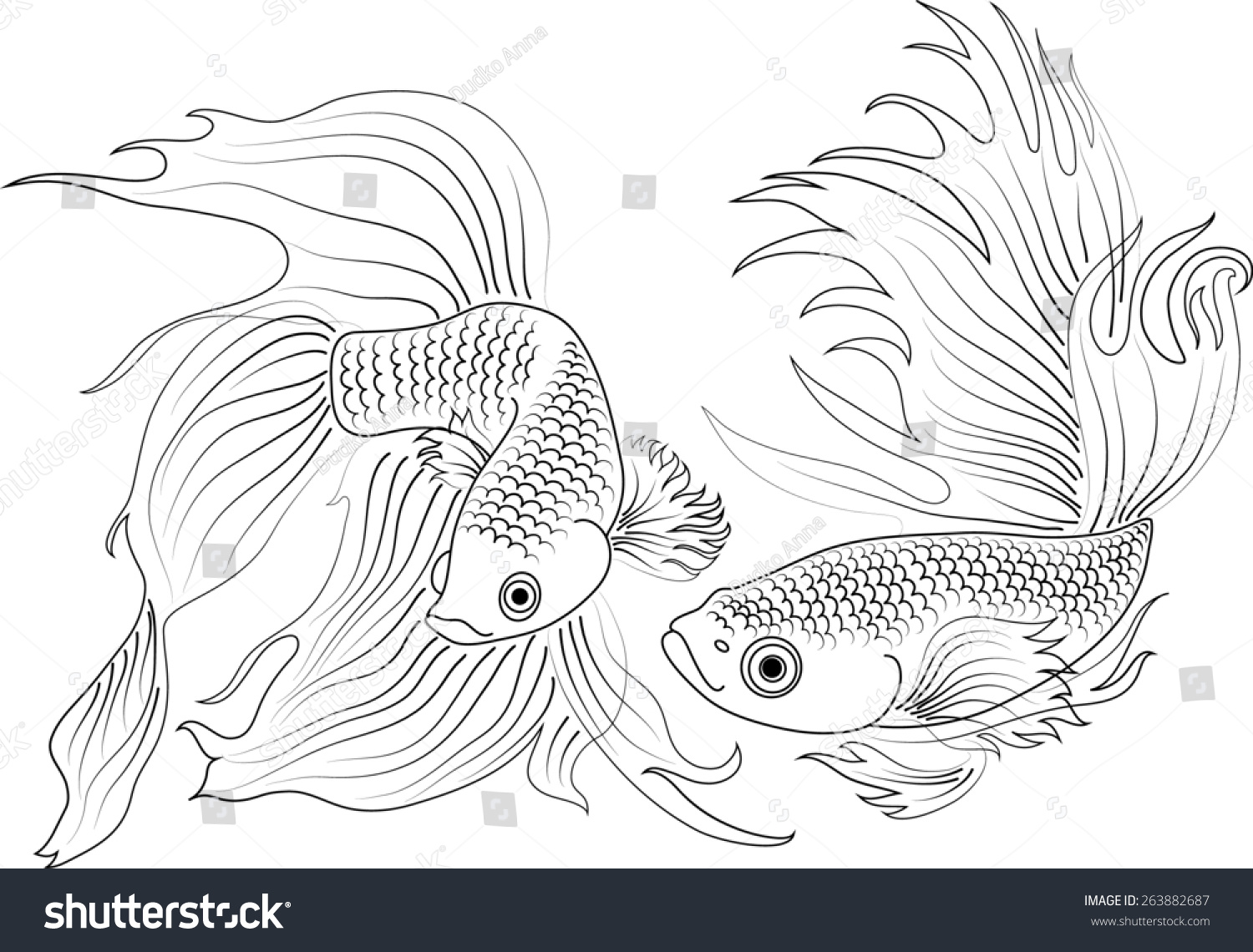 Рыбки Петушки раскраска