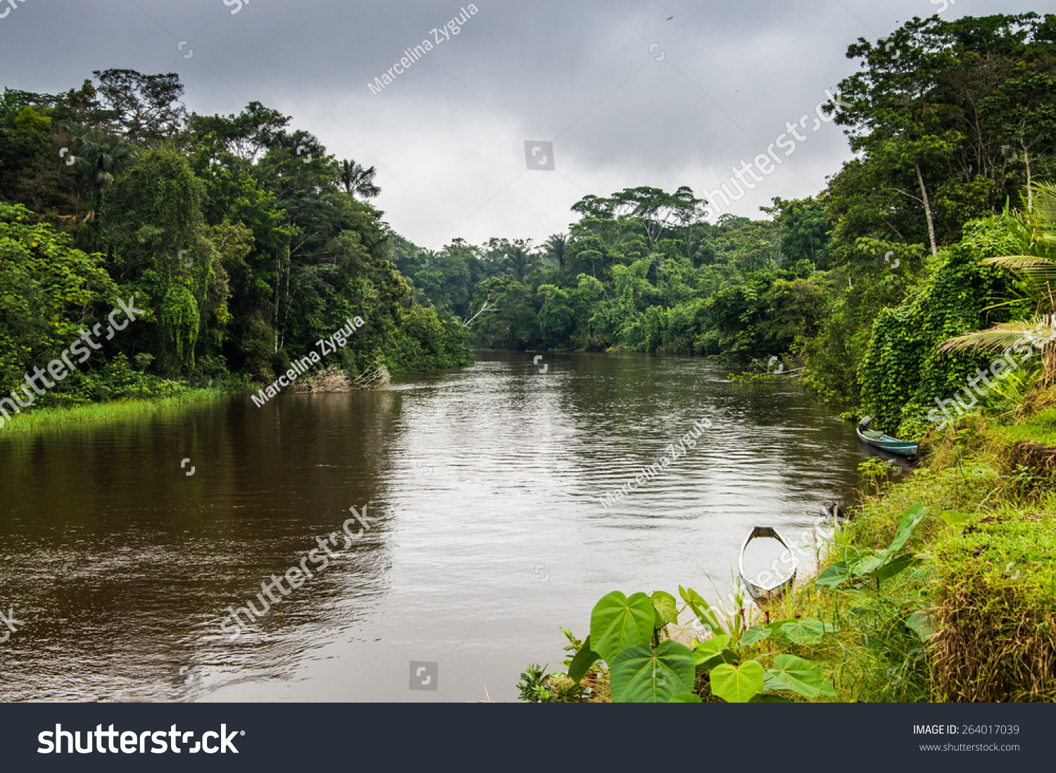 Cuyabeno River Cuyabeno Reserve Rain Forest Stock Photo 264017039 ...