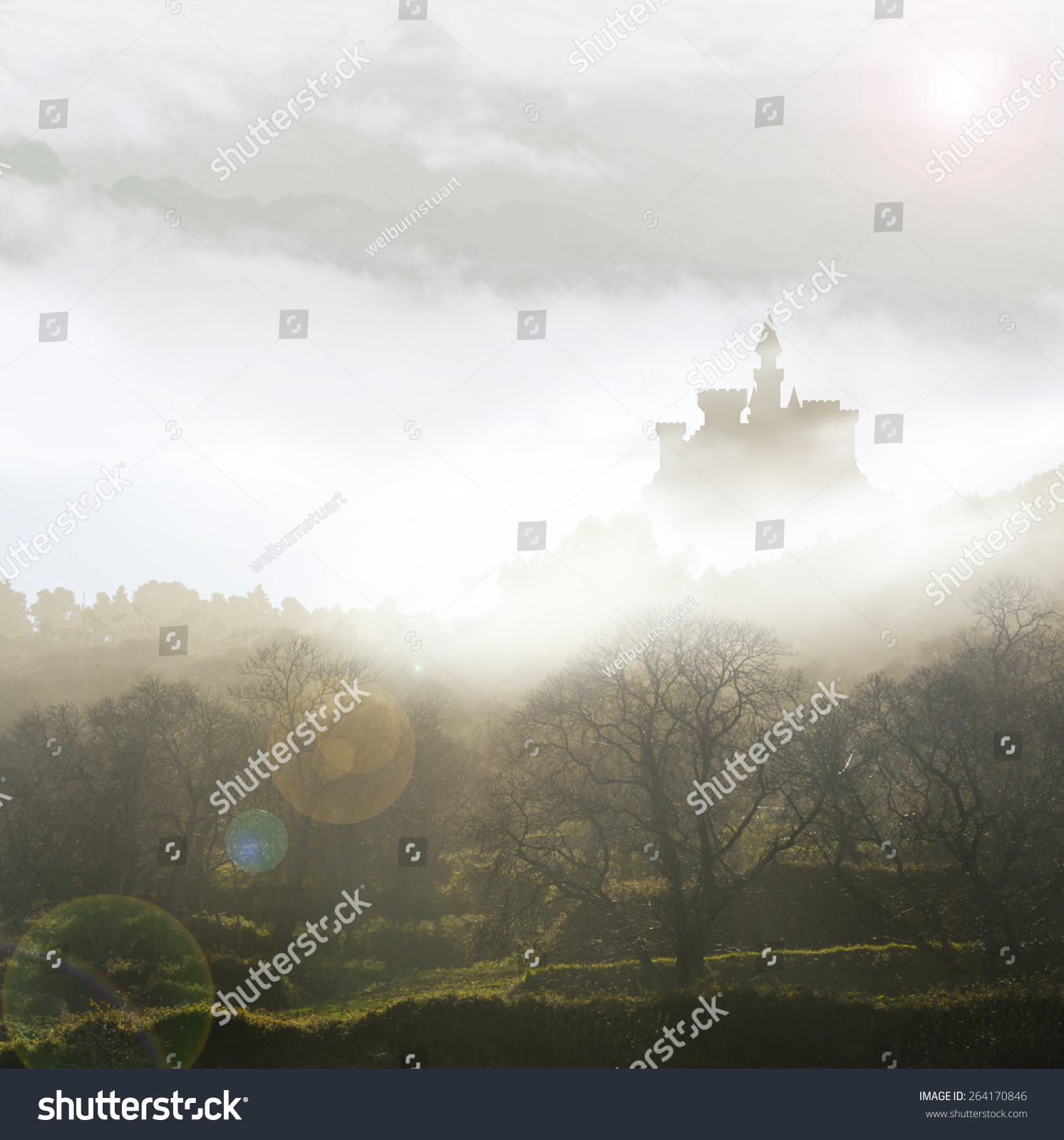 Fairytale Castle Mist Stock Illustration 264170846 | Shutterstock