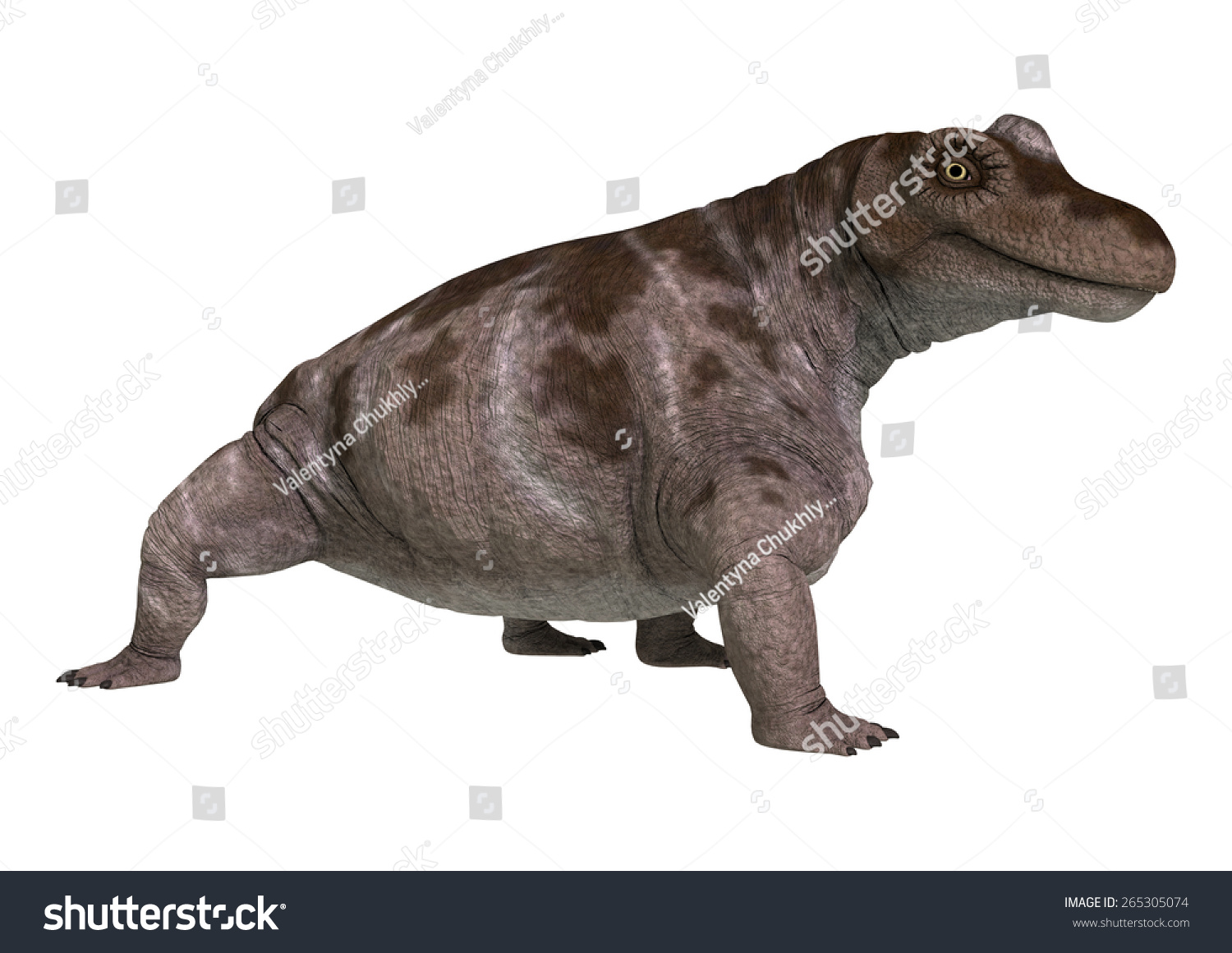 3d Digital Render Dinosaur Keratocephalus Isolated Stock Illustration ...