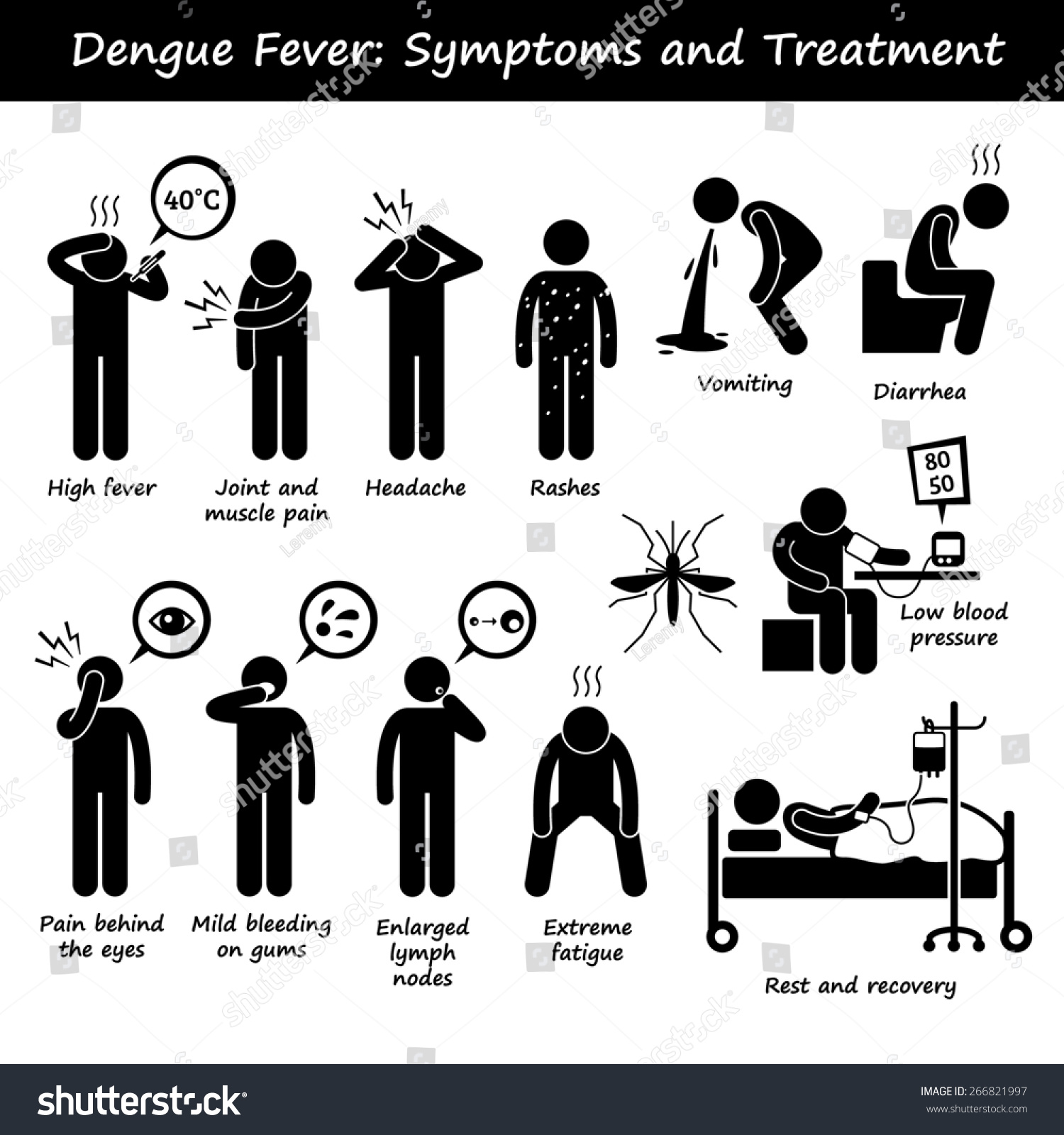 Dengue Fever Symptoms Treatment Aedes Mosquito Stock Illustration ...