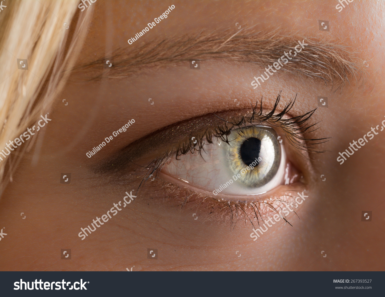 Sexy Blonde Blue Eyes Foto Stok 267393527 Shutterstock 1691