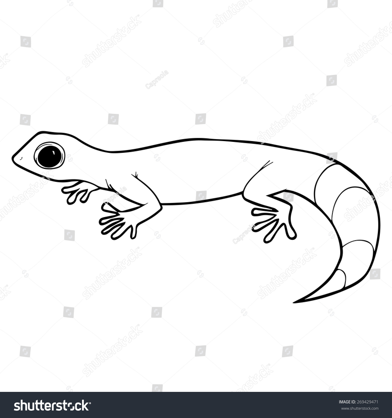 Gecko Outline Illustration Stock Vector (Royalty Free) 269429471 ...