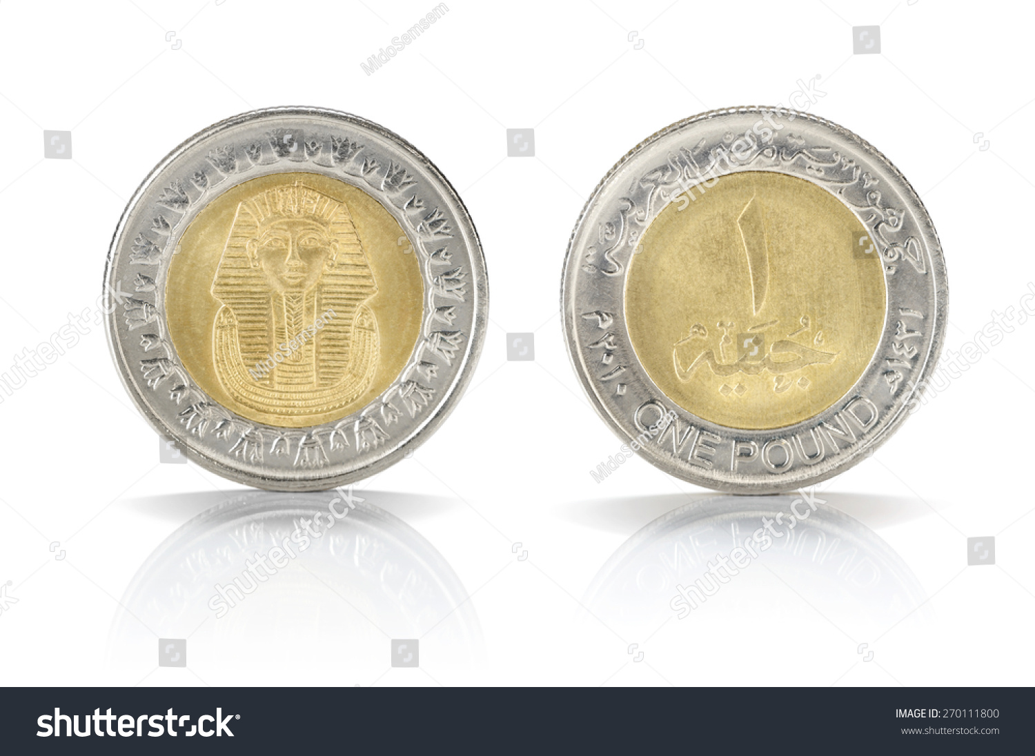 Front Back Sides One Egyptian Pound Stock Photo 270111800 | Shutterstock