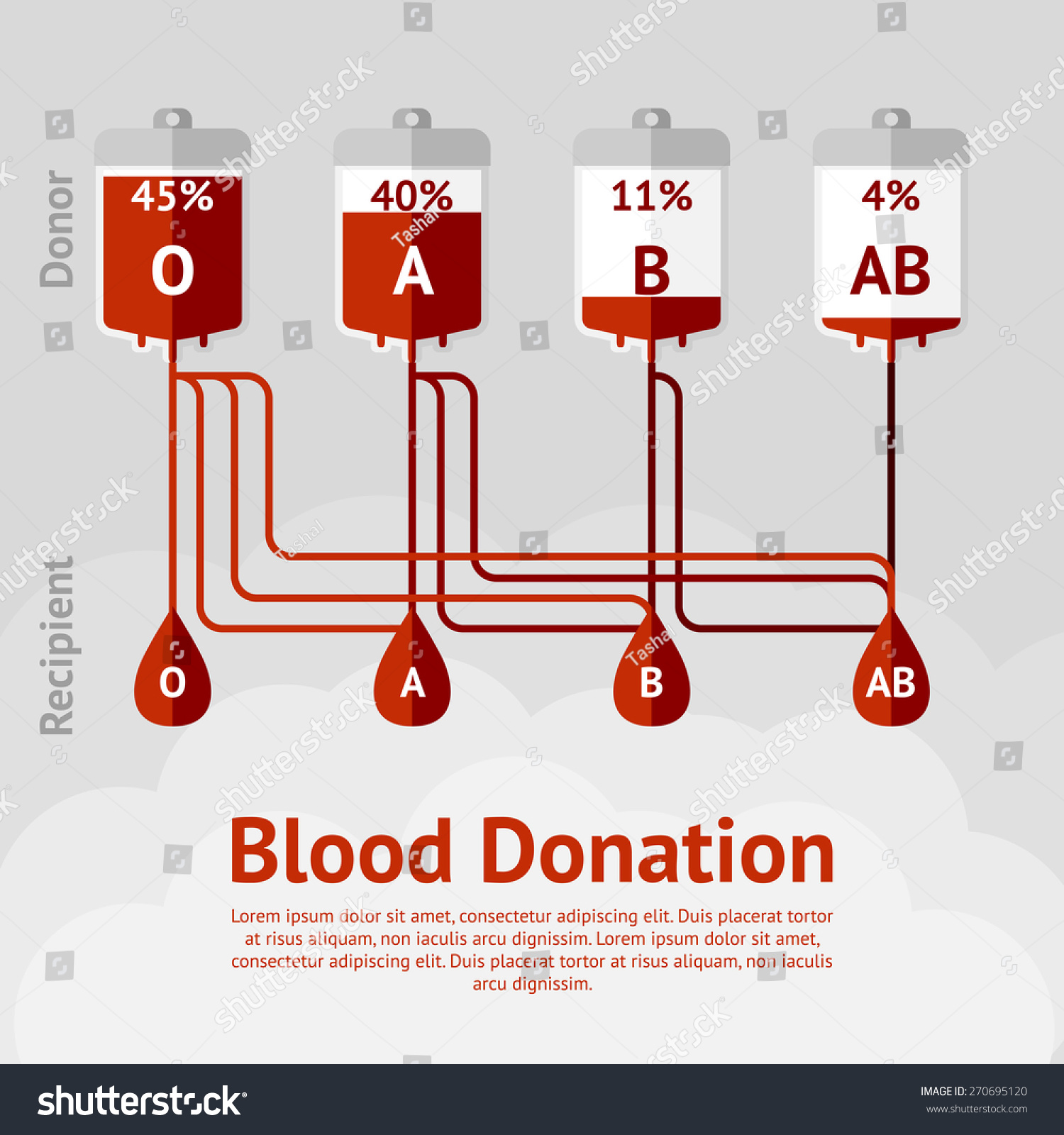 Blood Donation Blood Types Concept Scheme Stock Vector (Royalty Free ...