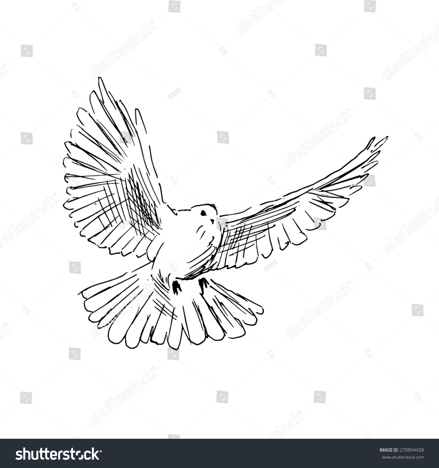 Hand Drawing Dove Stock Vector (Royalty Free) 270894428 | Shutterstock