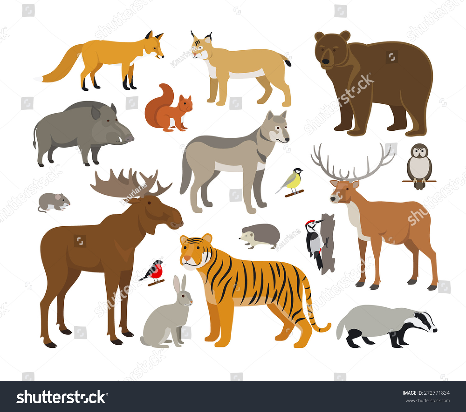 Set Forest Animals Stock Vector (Royalty Free) 272771834 | Shutterstock