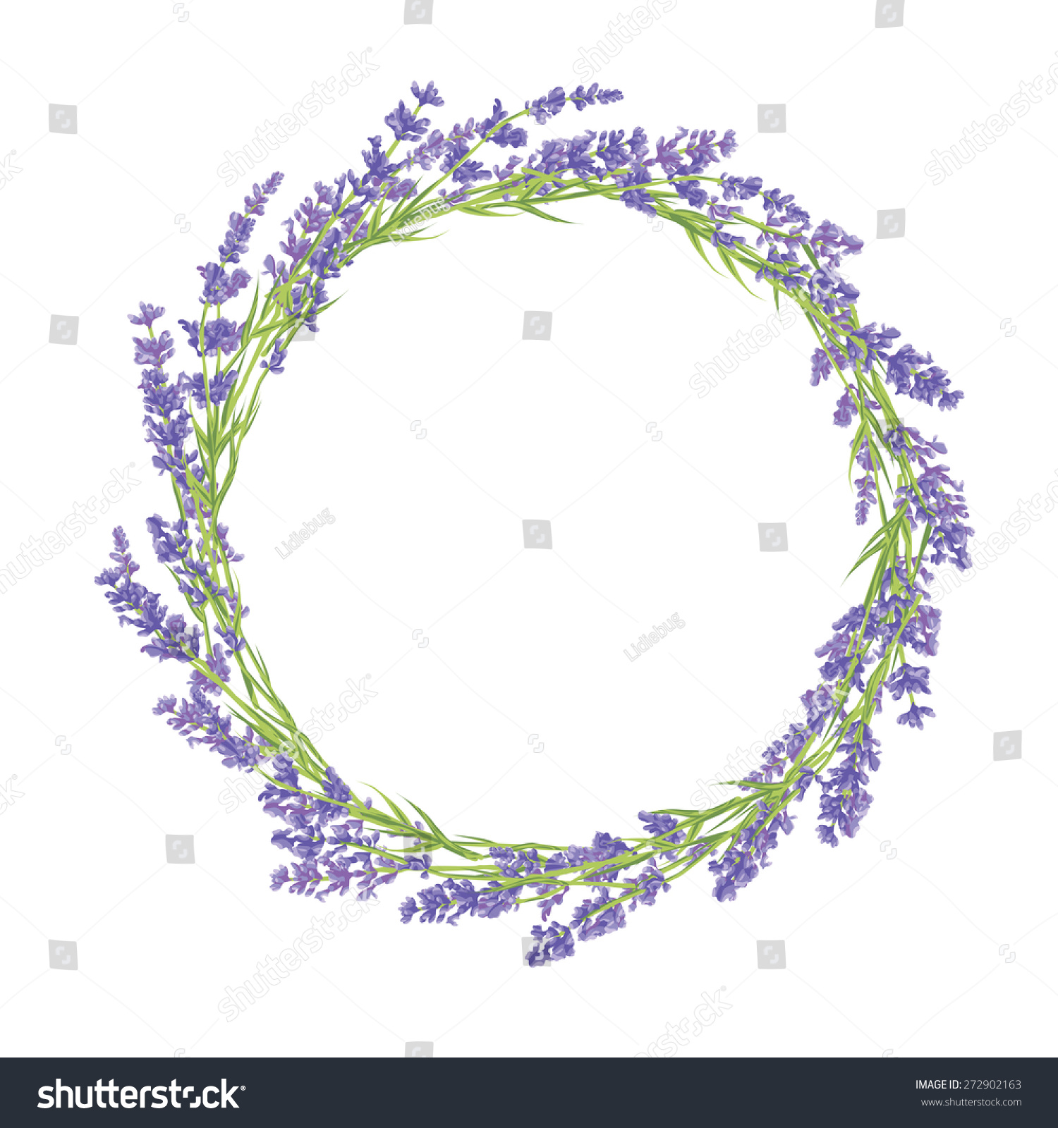 Circle Hand Drawn Lavender Flowers Hand Stock Vector (Royalty Free ...