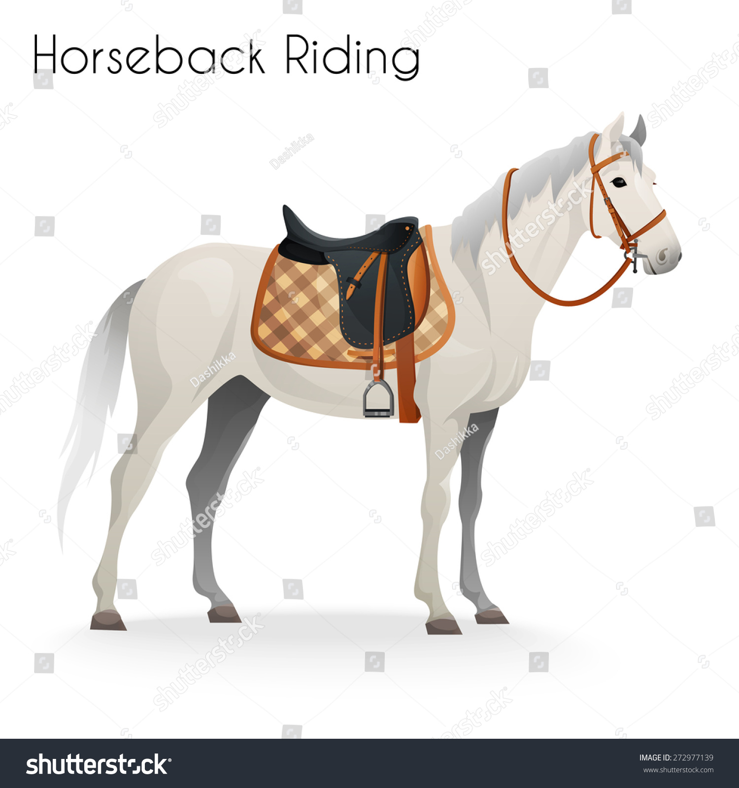 Horse Equestrian Equipment Horseback Riding Vector Stock Vector ...