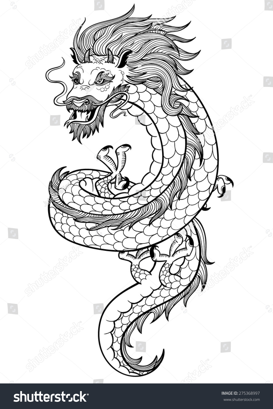 Vector Black White Tattoo Dragon Illustration Stock Vector (royalty 