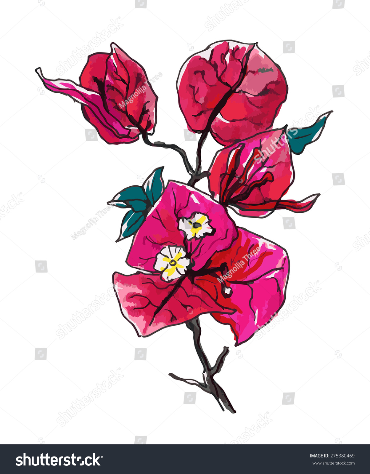 Bougainvillea Decorative Flower Stock Vector (Royalty Free) 275380469 ...