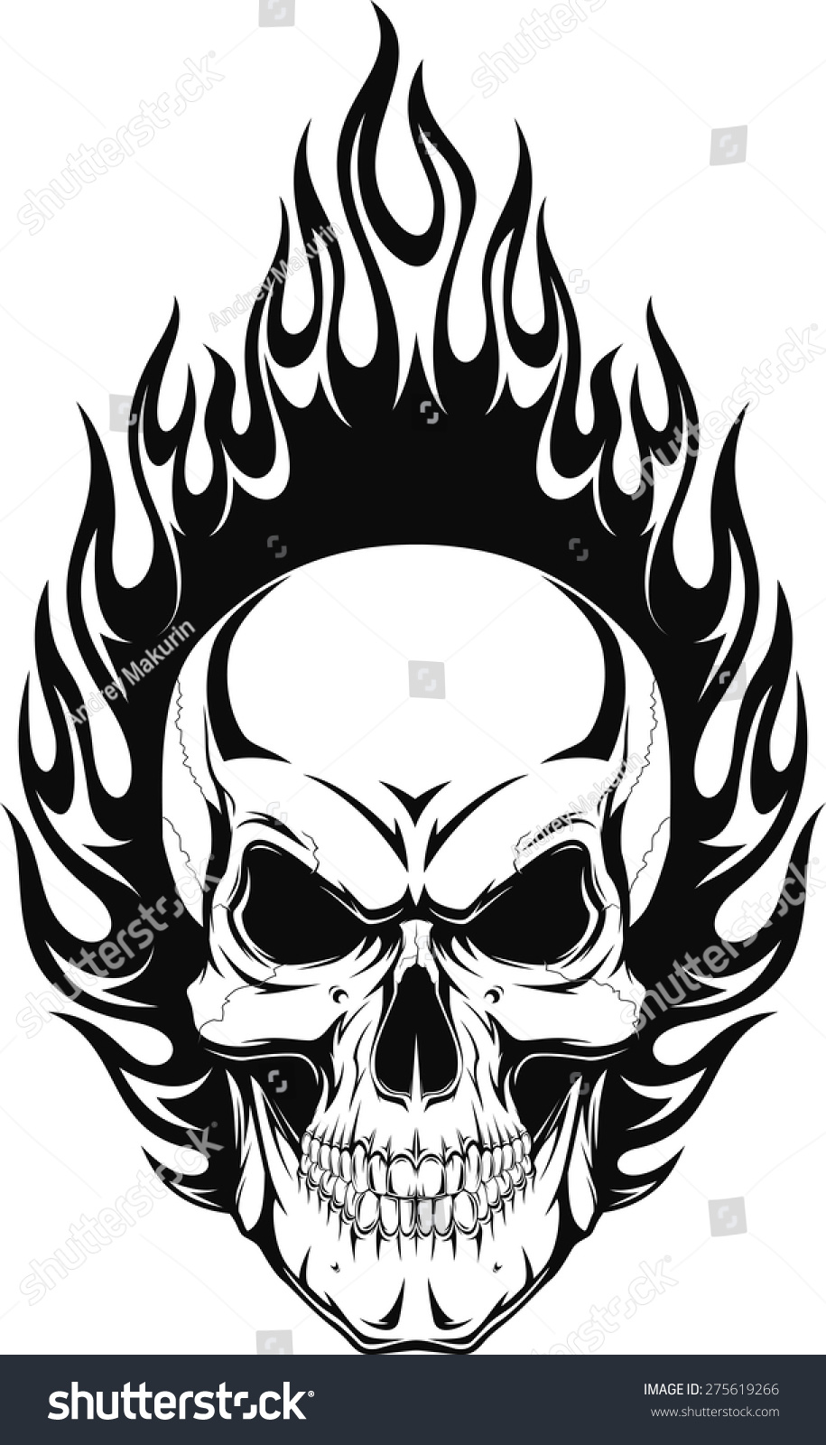 Human Skull Stock Vector (royalty Free) 275619266 