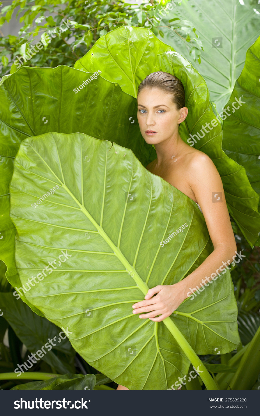 Naked Woman Emerging Giant Leaves Stock Photo Shutterstock