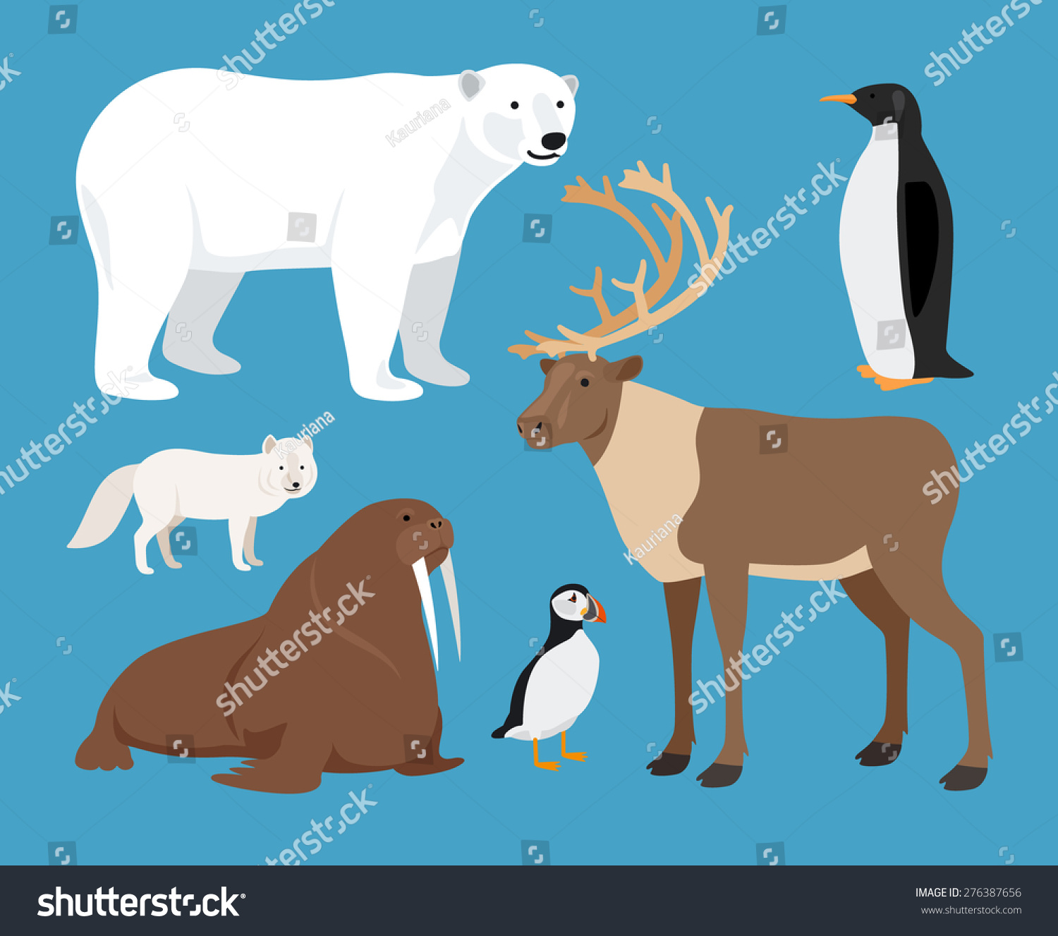 Set Arctic Animals Stock Vector (Royalty Free) 276387656 | Shutterstock