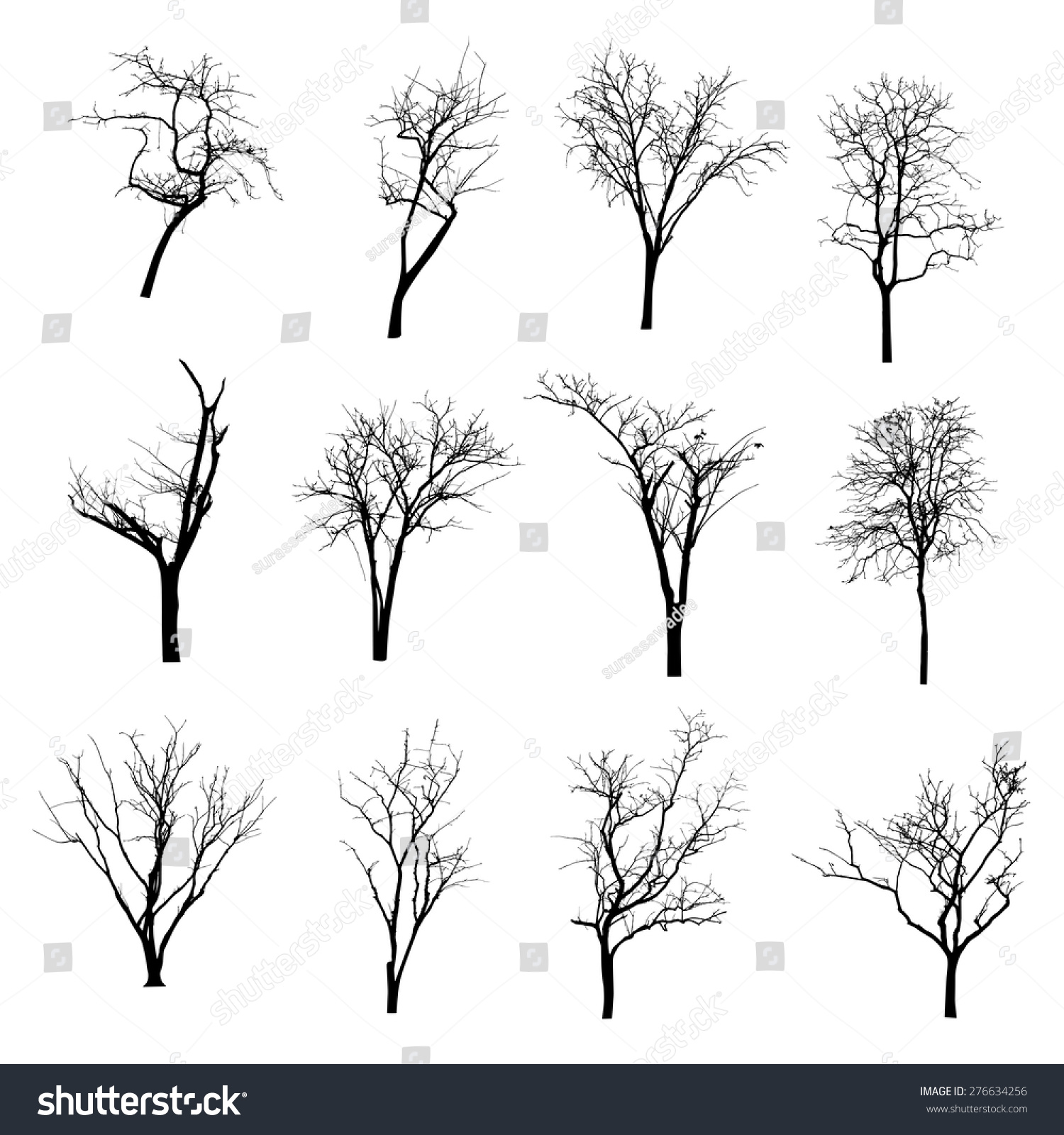 Vector Black Silhouette Bare Tree Stock Vector (Royalty Free) 276634256 ...