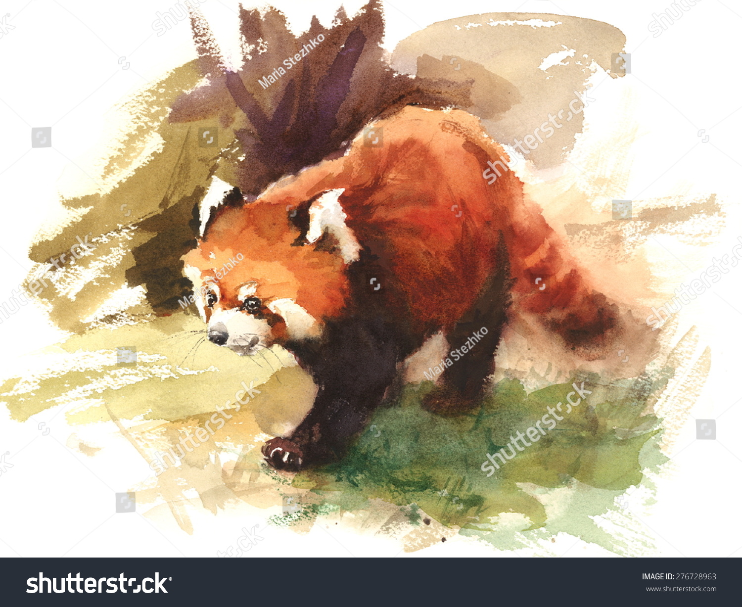 Красная Панда гуашью