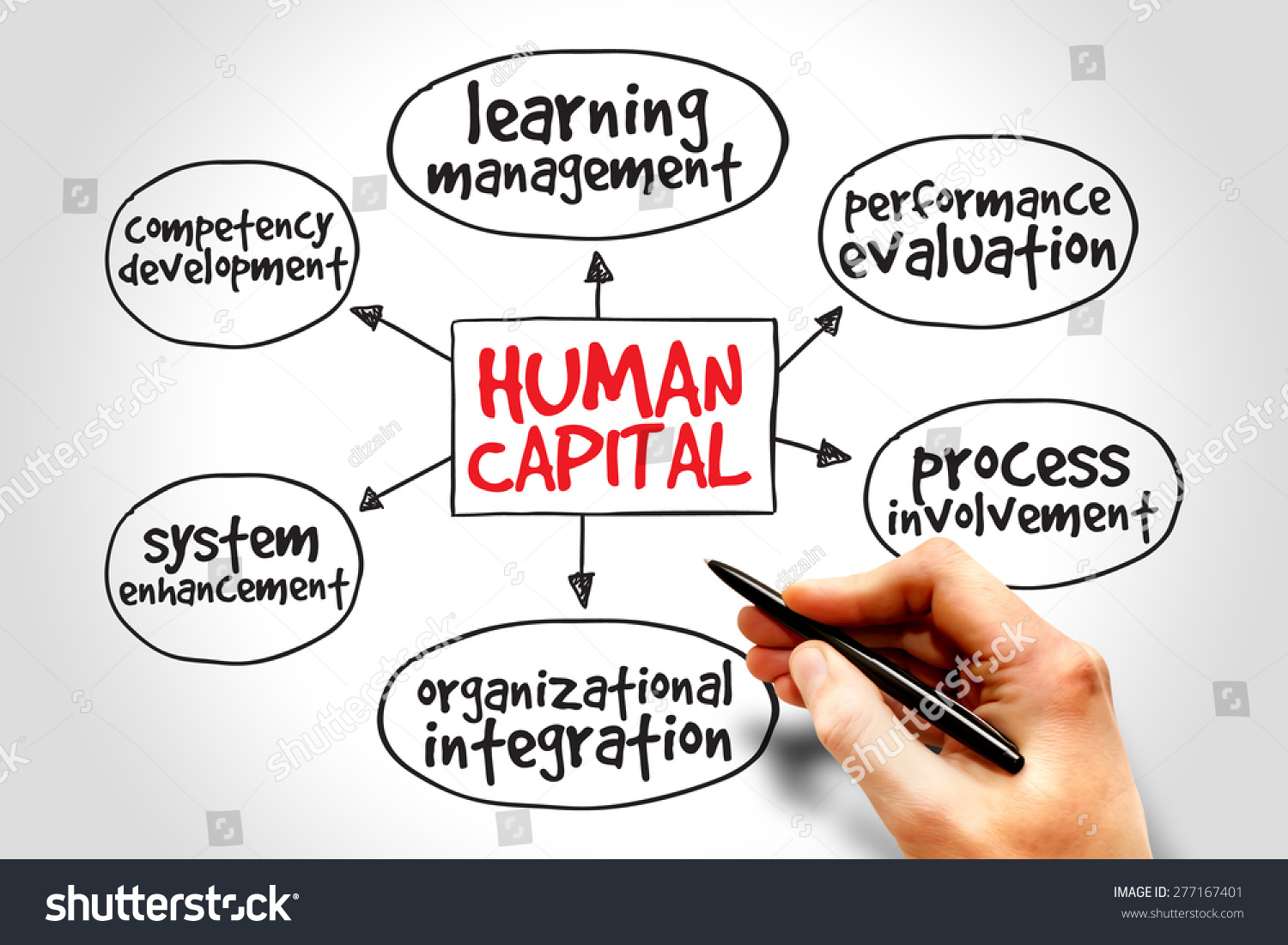 Human Capital Mind Map Business Management Stock Photo 277167401 ...