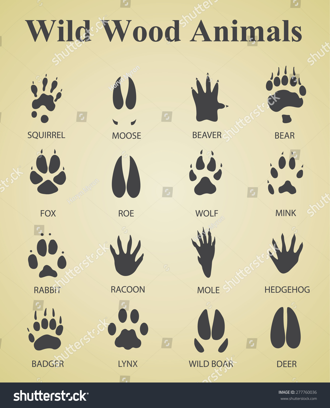 Set Wild Wood Animal Tracks Stock Vector (Royalty Free) 277760036 ...