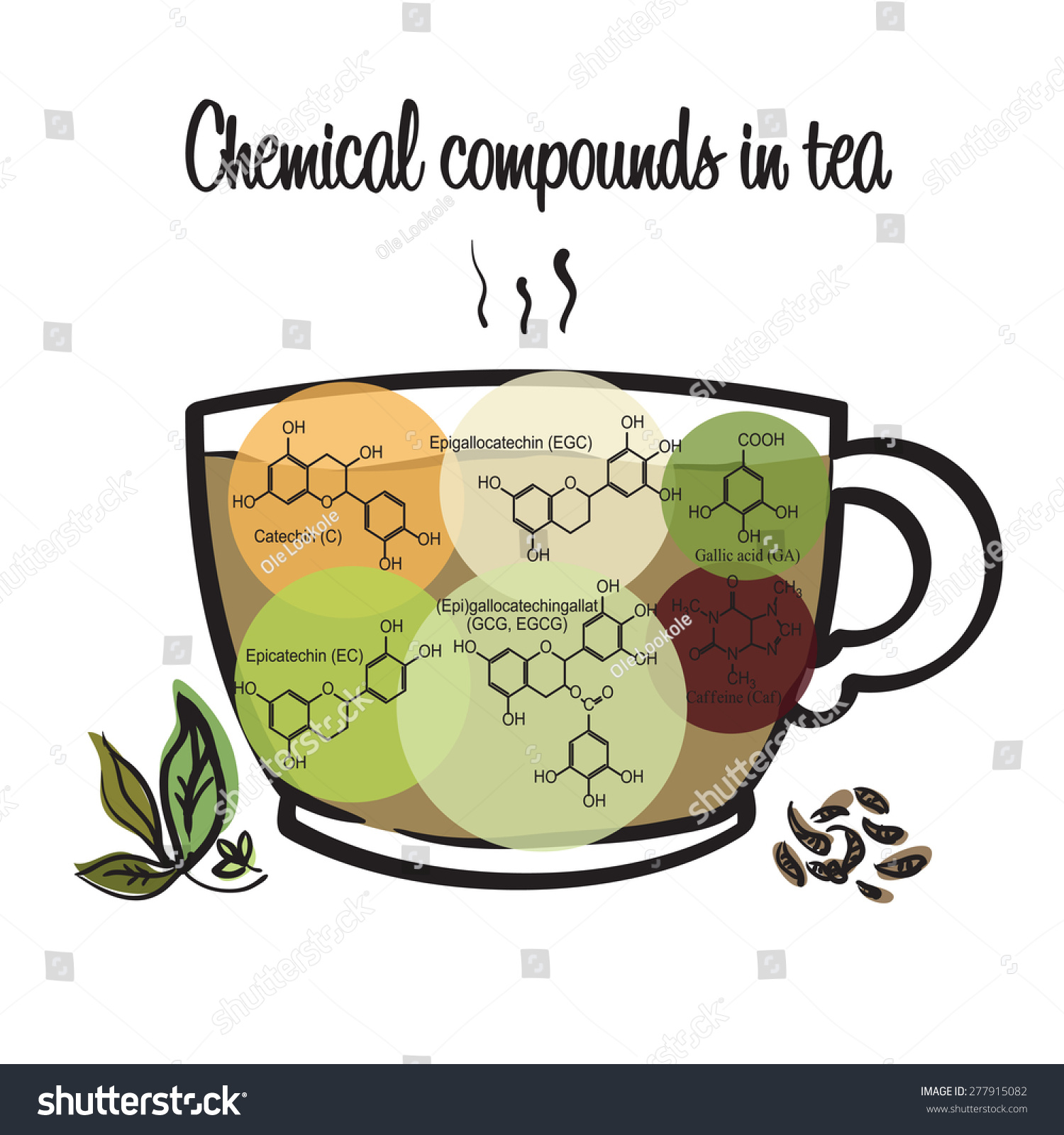 chemical-compounds-tea-stock-vector-royalty-free-277915082-shutterstock